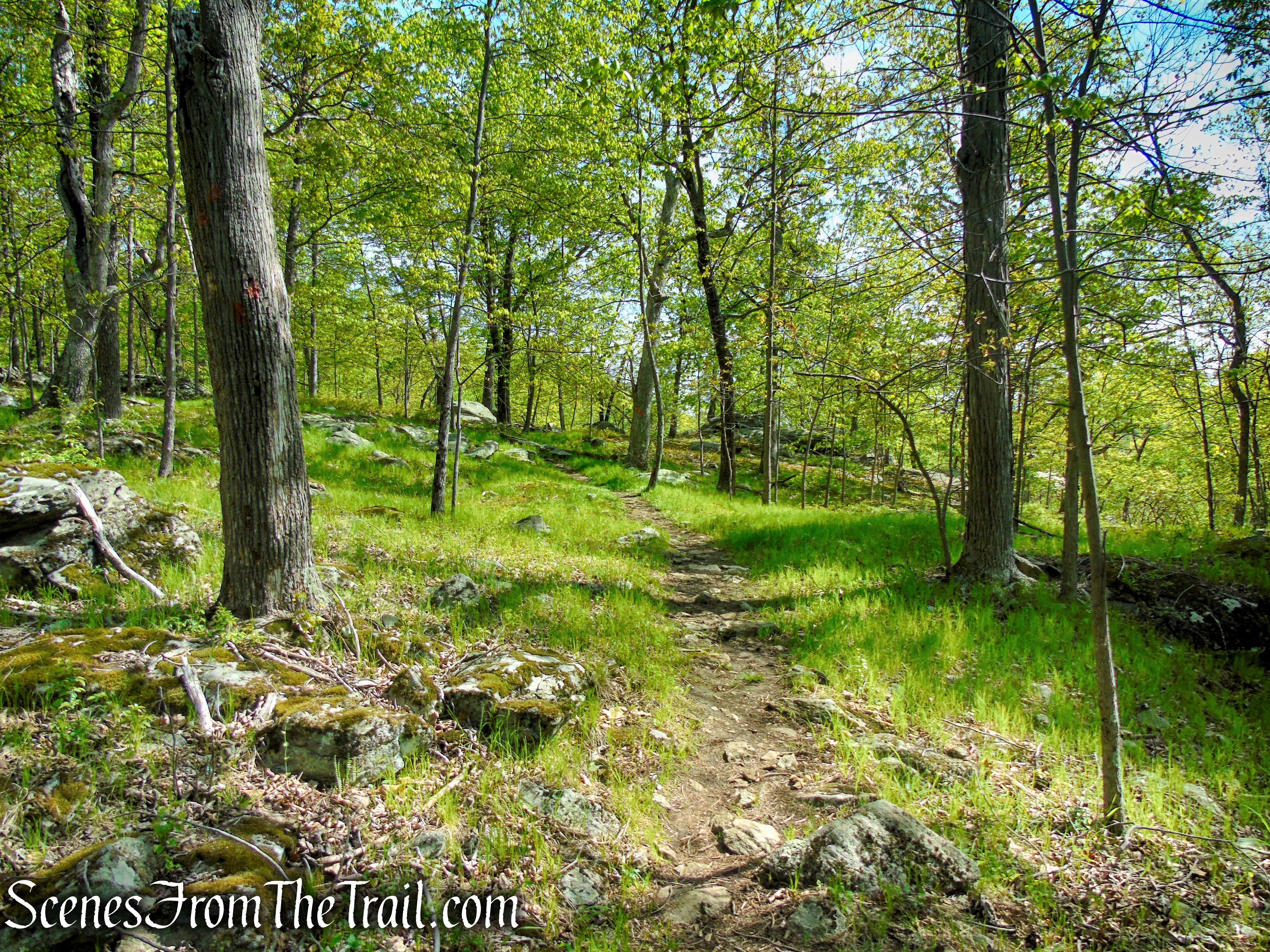Orange Trail - Dater Mountain Nature Park