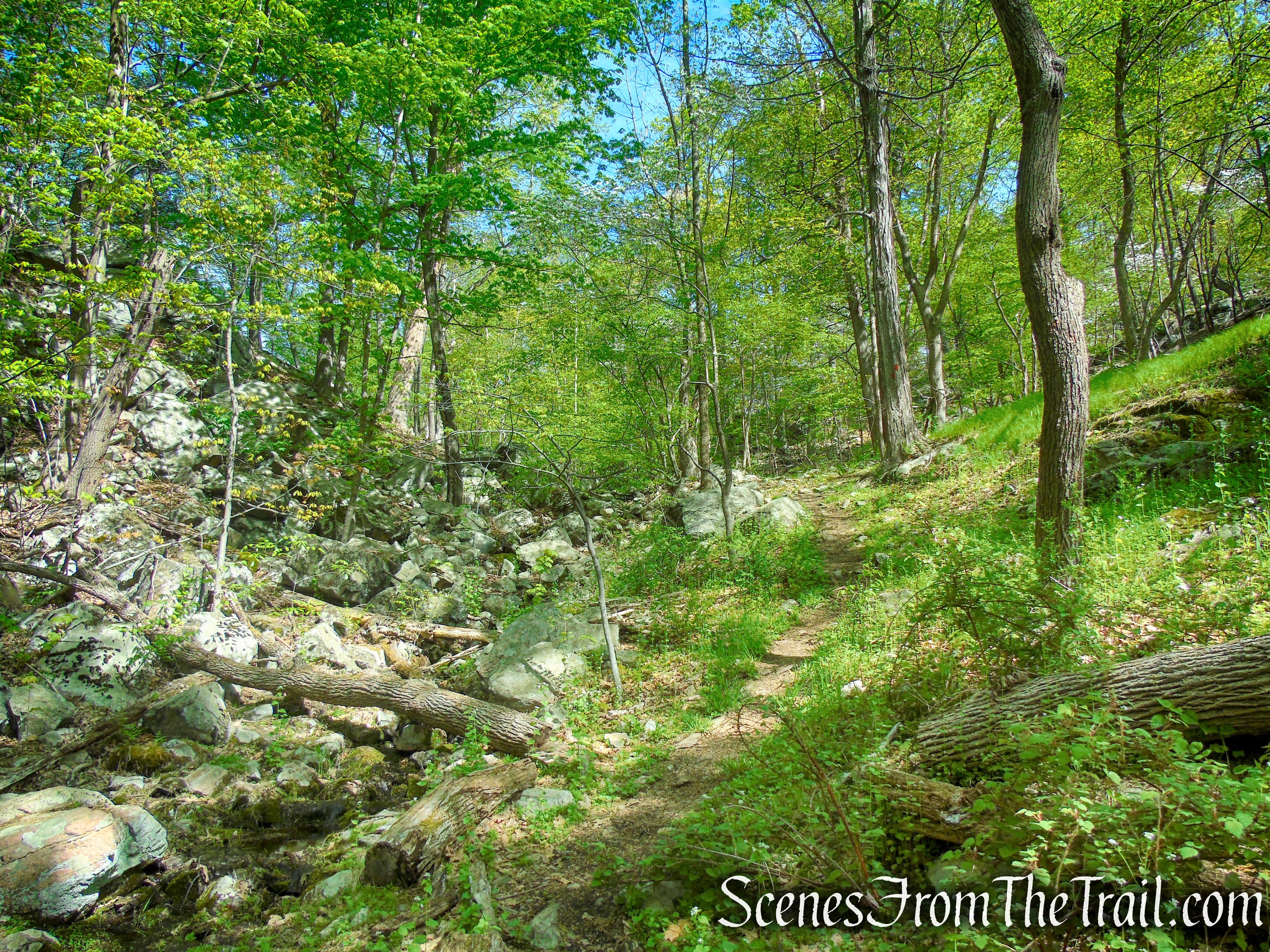 Orange Trail - Dater Mountain Nature Park