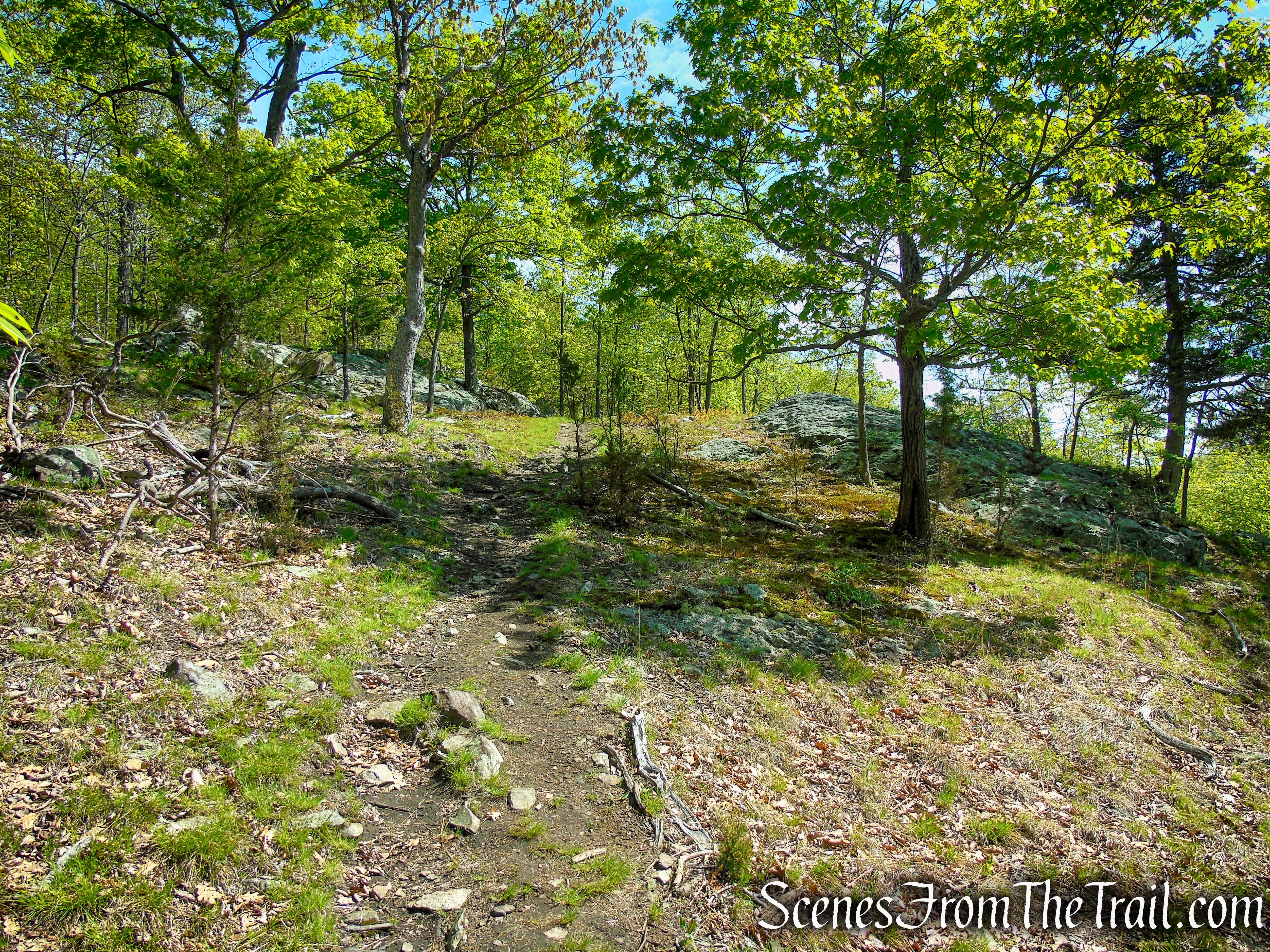 Orange Trail - Dater Mountain Nature Park