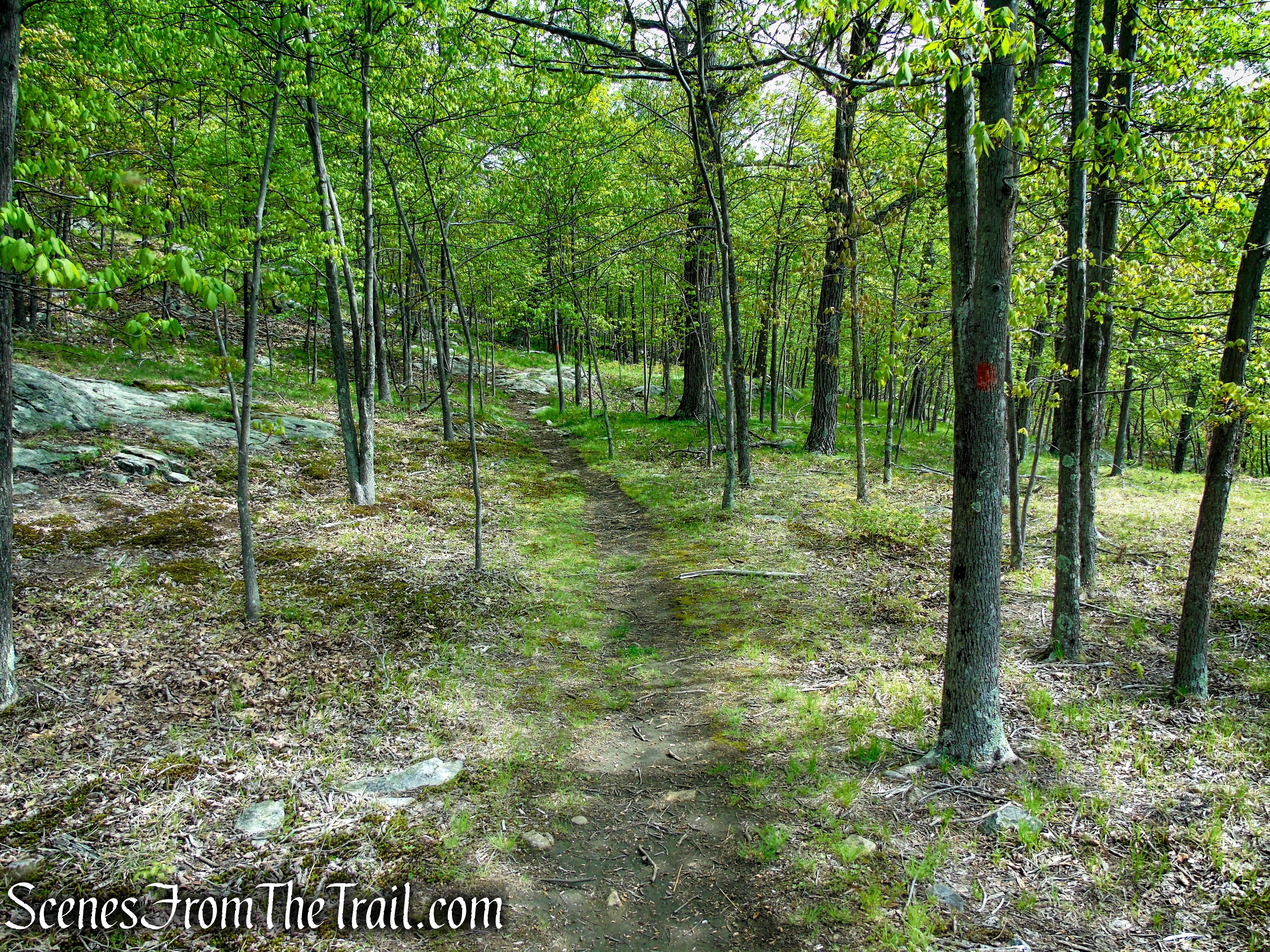 Orange Trail - Dater Mountain Nature Park