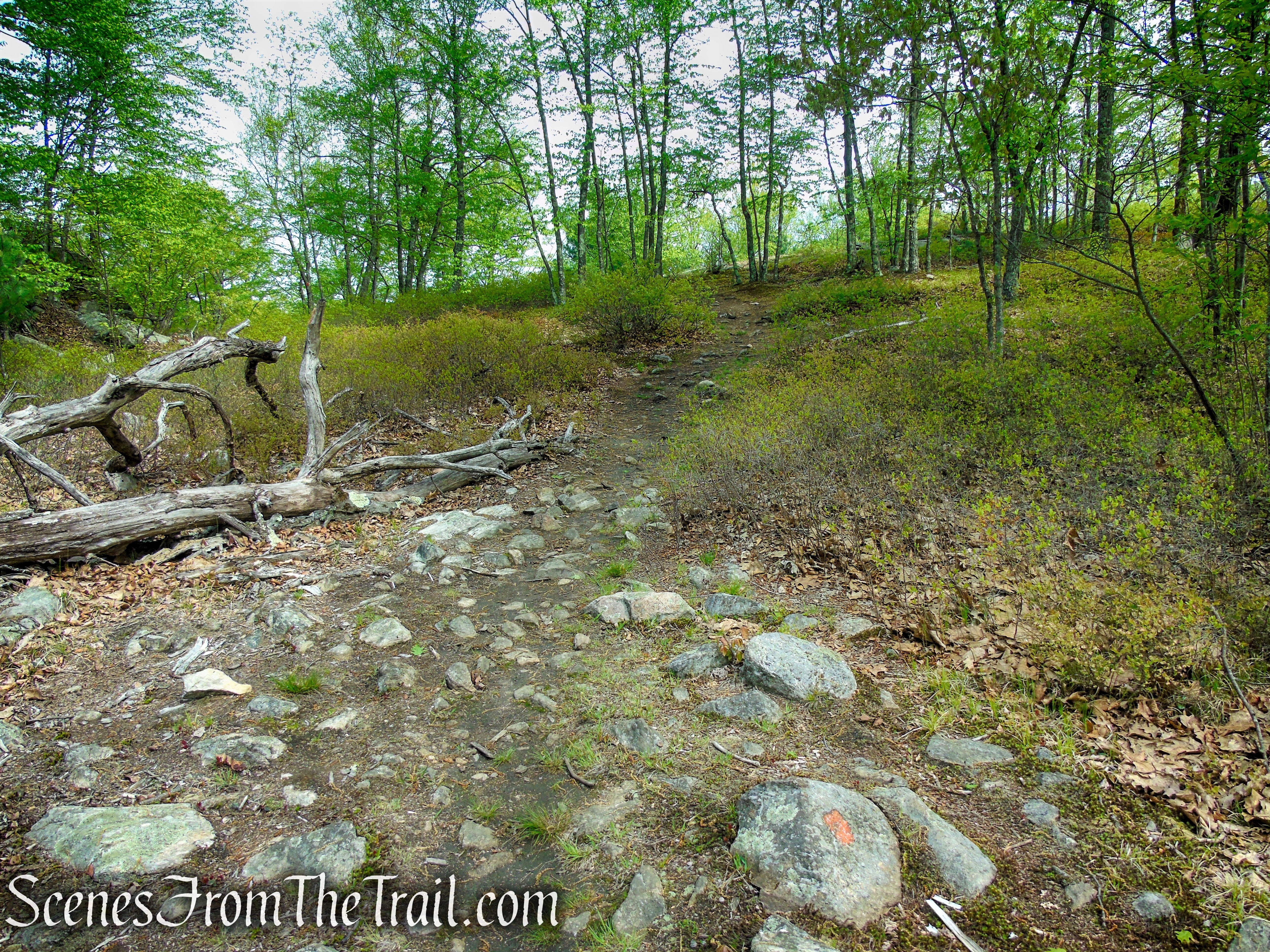 Orange Trail - Dater Mountain Nature Park