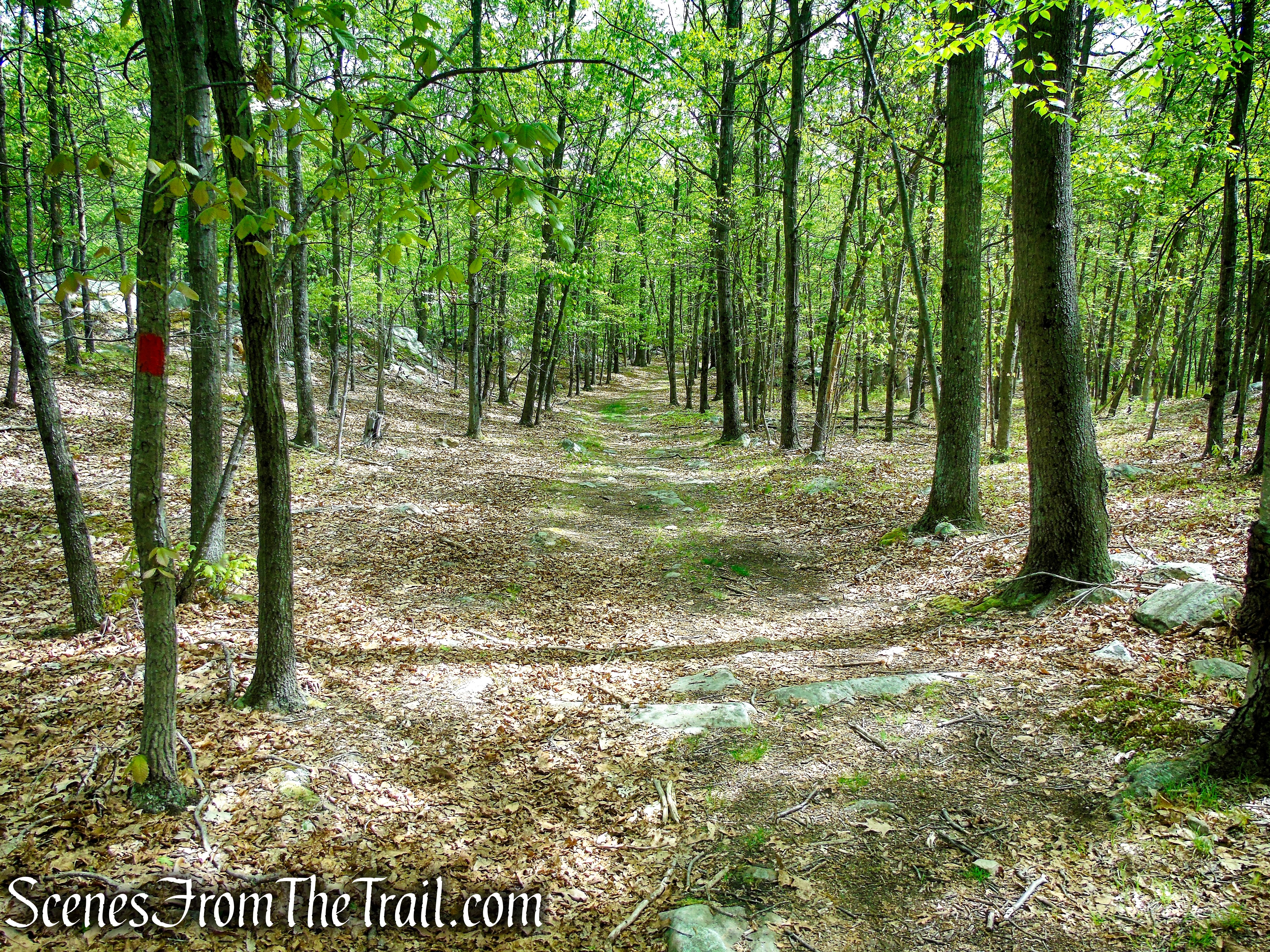 Orange Trail - Dater Mountain Nature Park