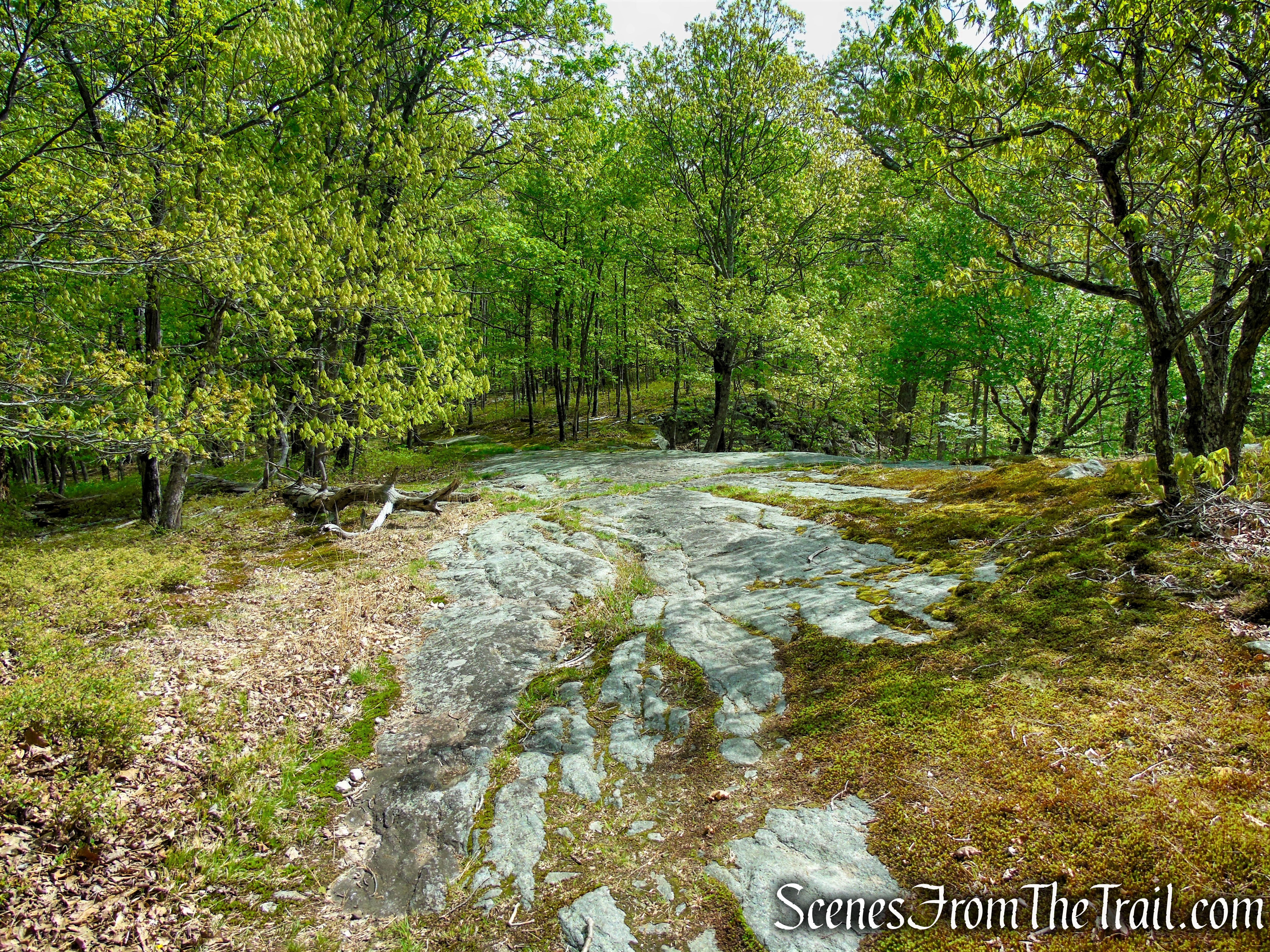 Orange Trail - Dater Mountain Nature Park