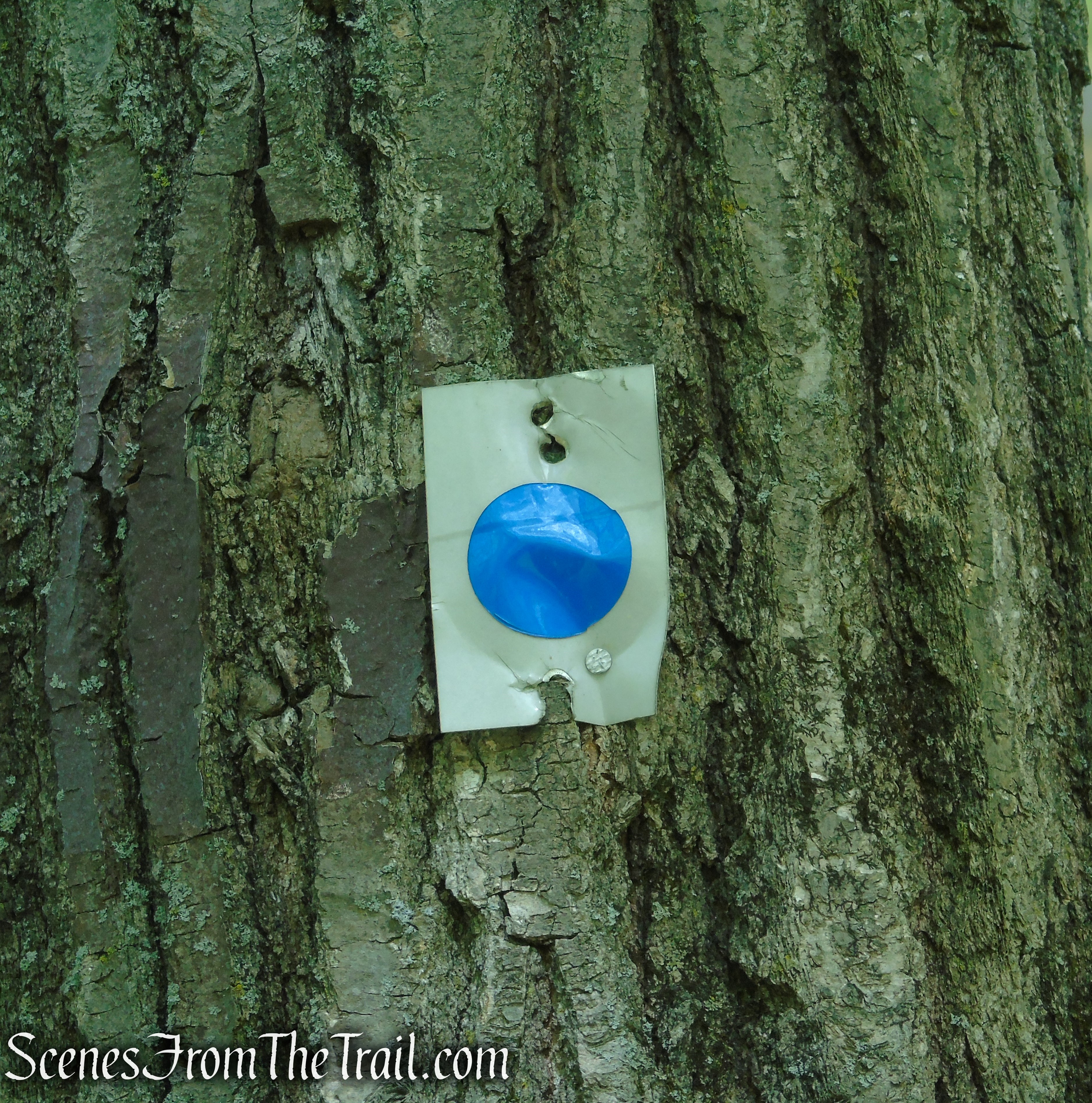 Blue Disc Trail - Harriman State Park