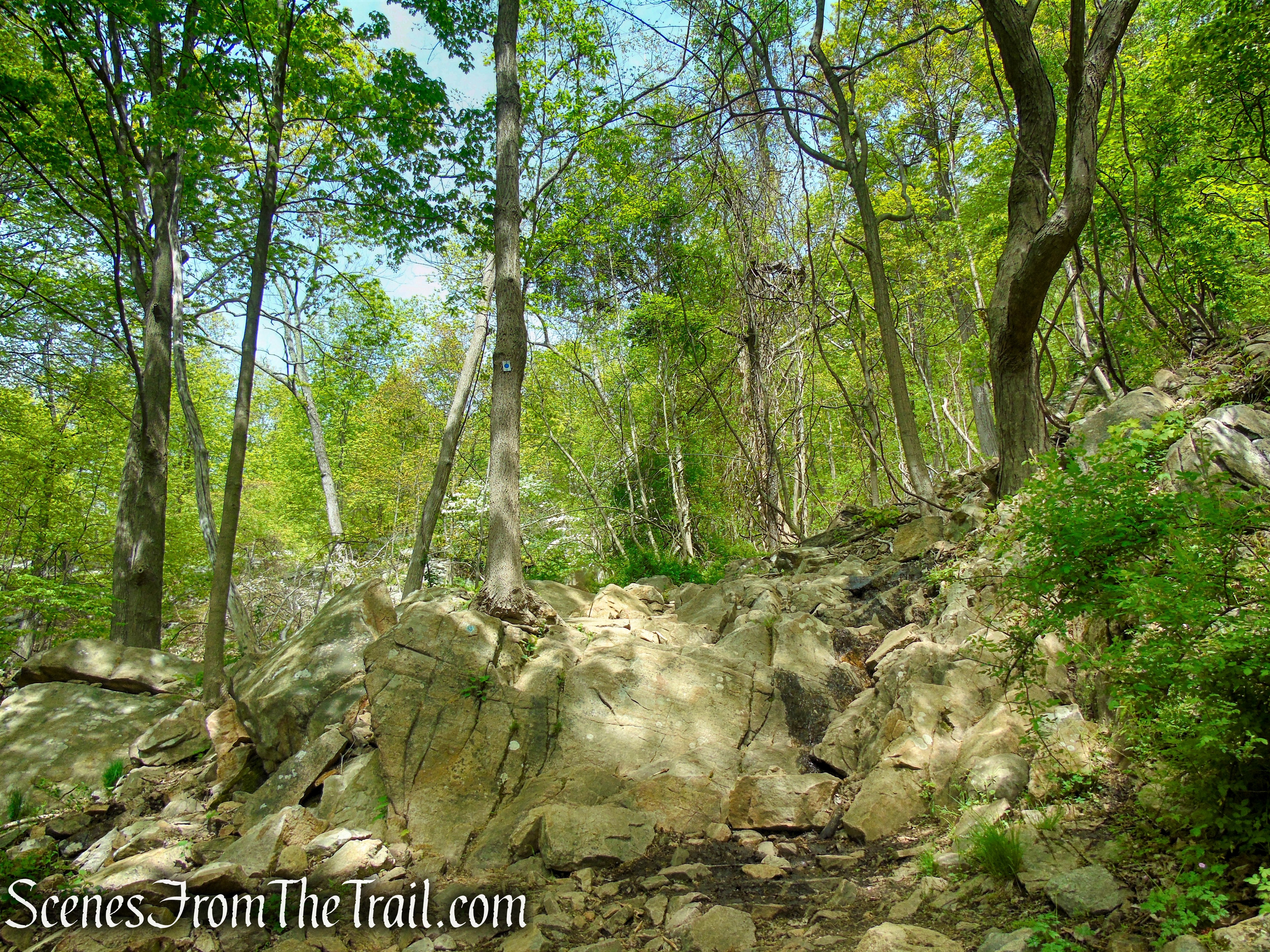 Blue Disc Trail - Harriman State Park