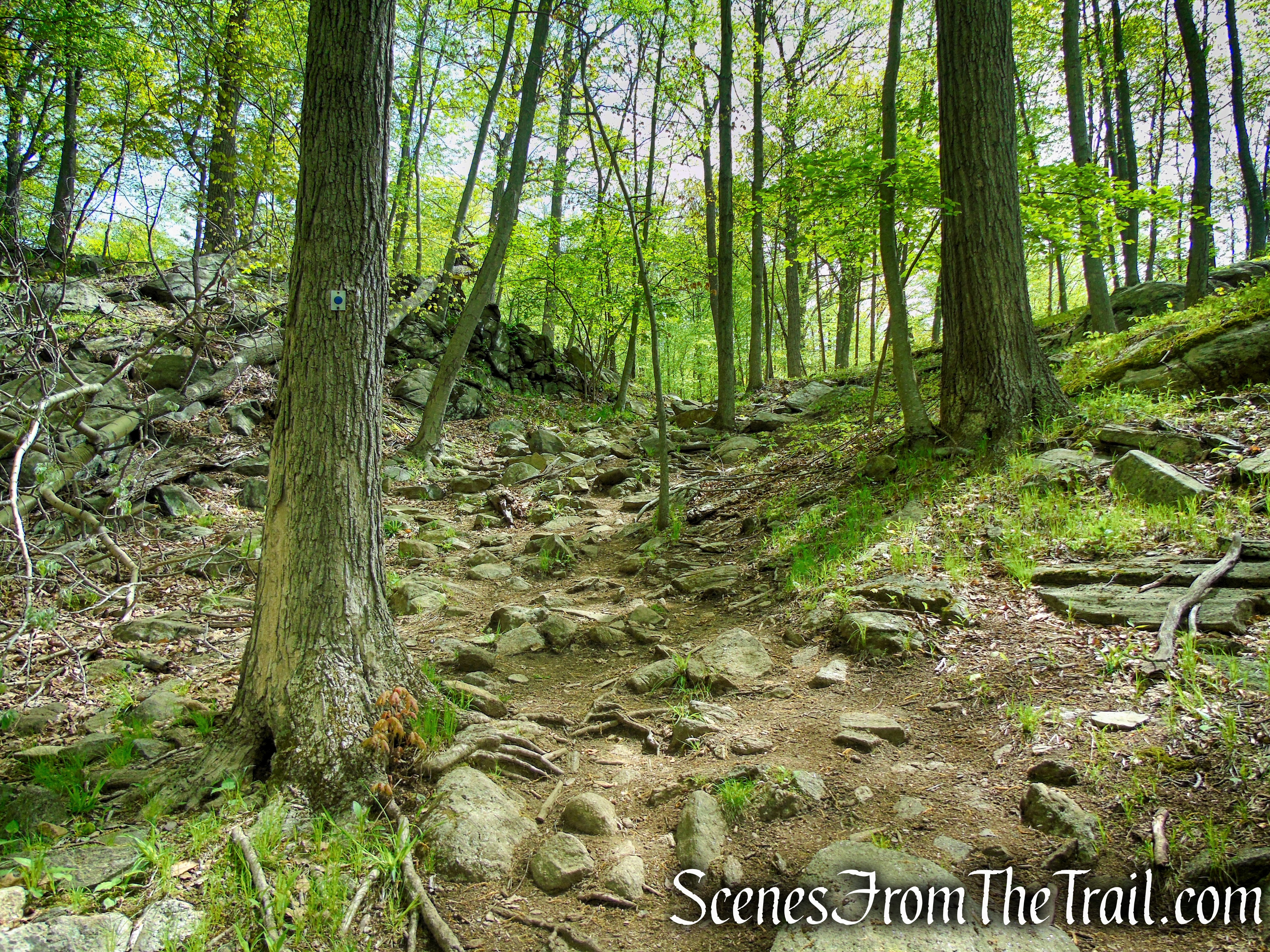 Blue Disc Trail - Harriman State Park