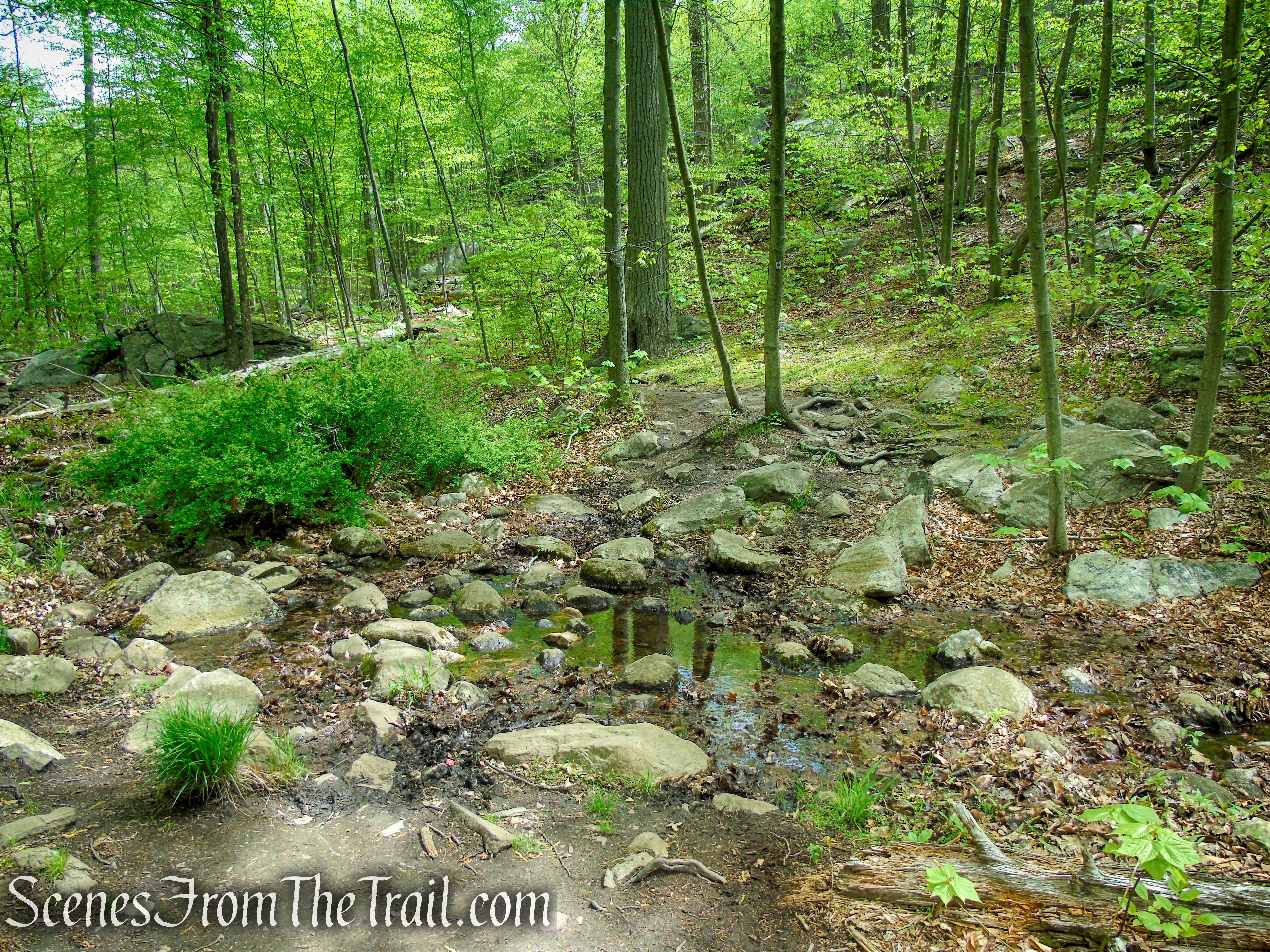 Blue Disc Trail - Harriman State Park