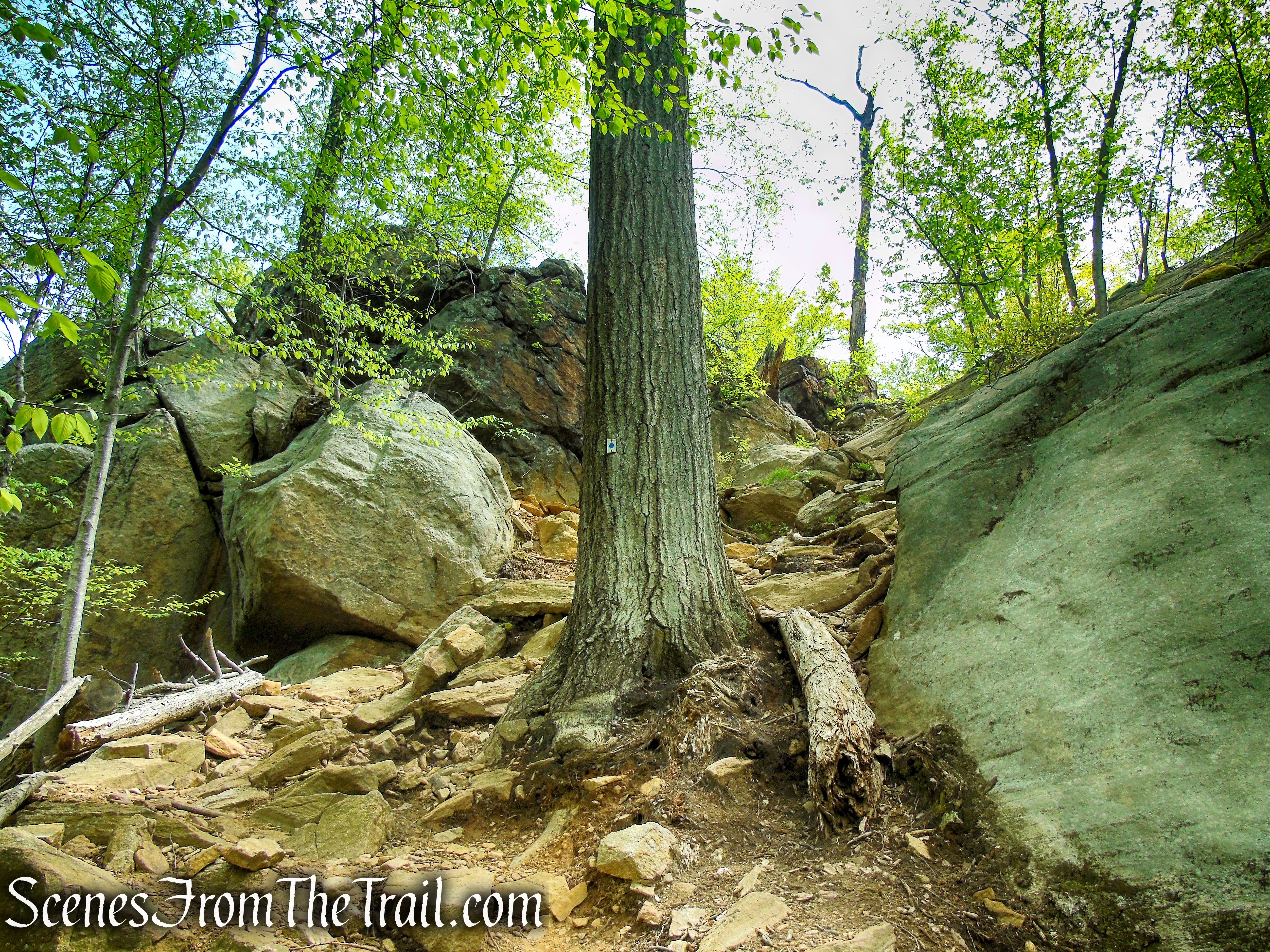 Blue Disc Trail - Harriman State Park
