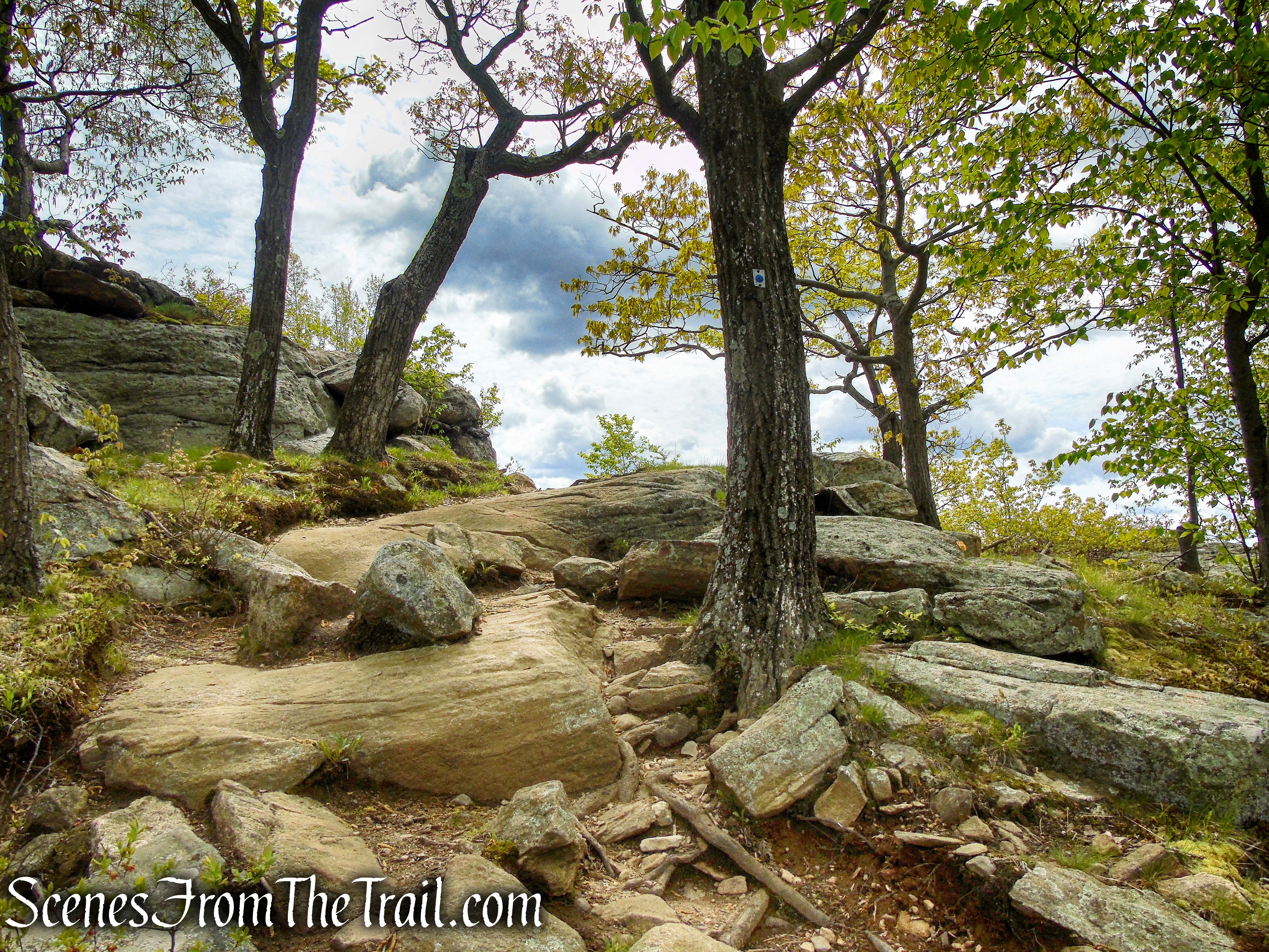 Blue Disc Trail - Harriman State Park