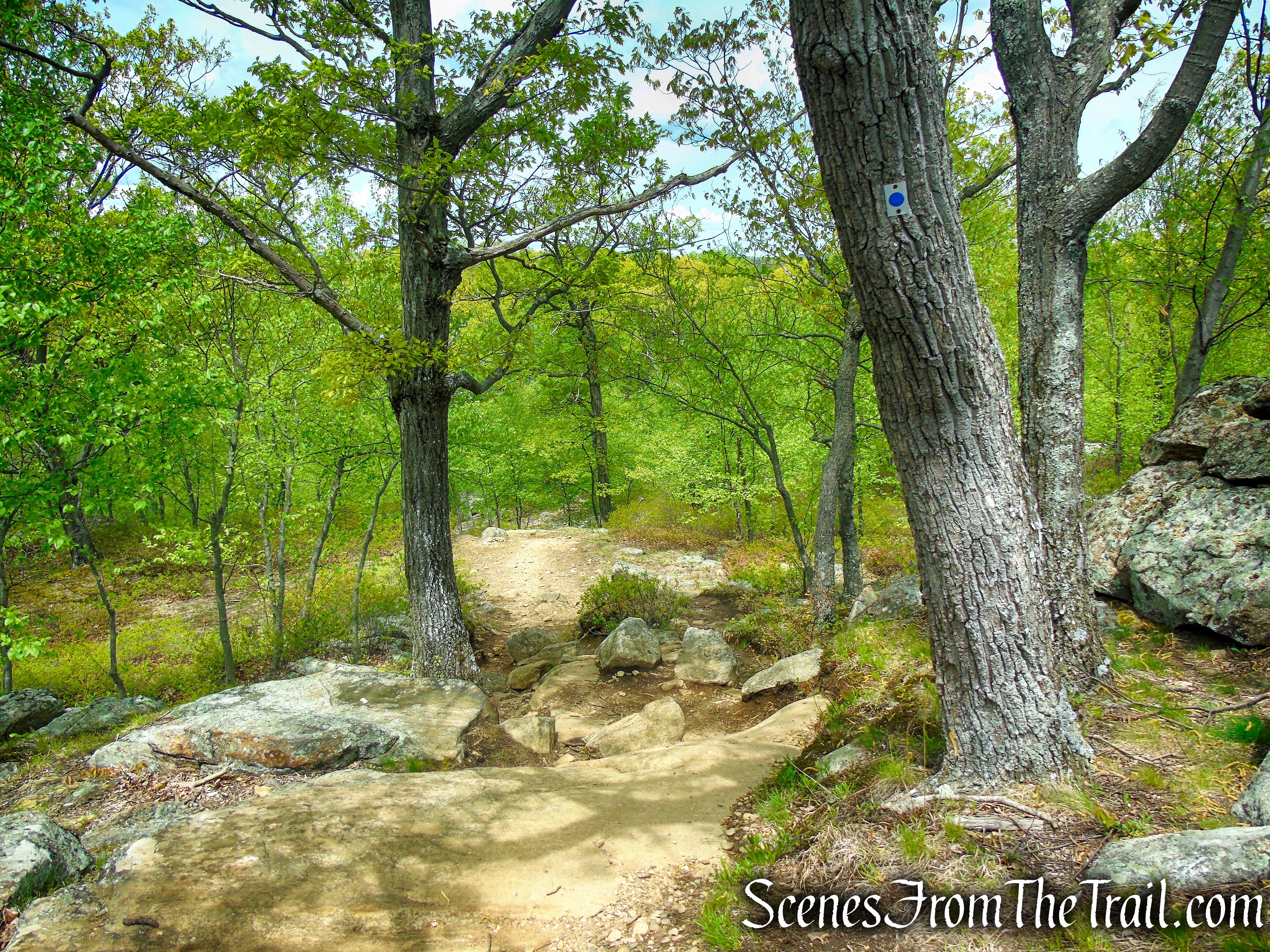 Blue Disc Trail - Harriman State Park