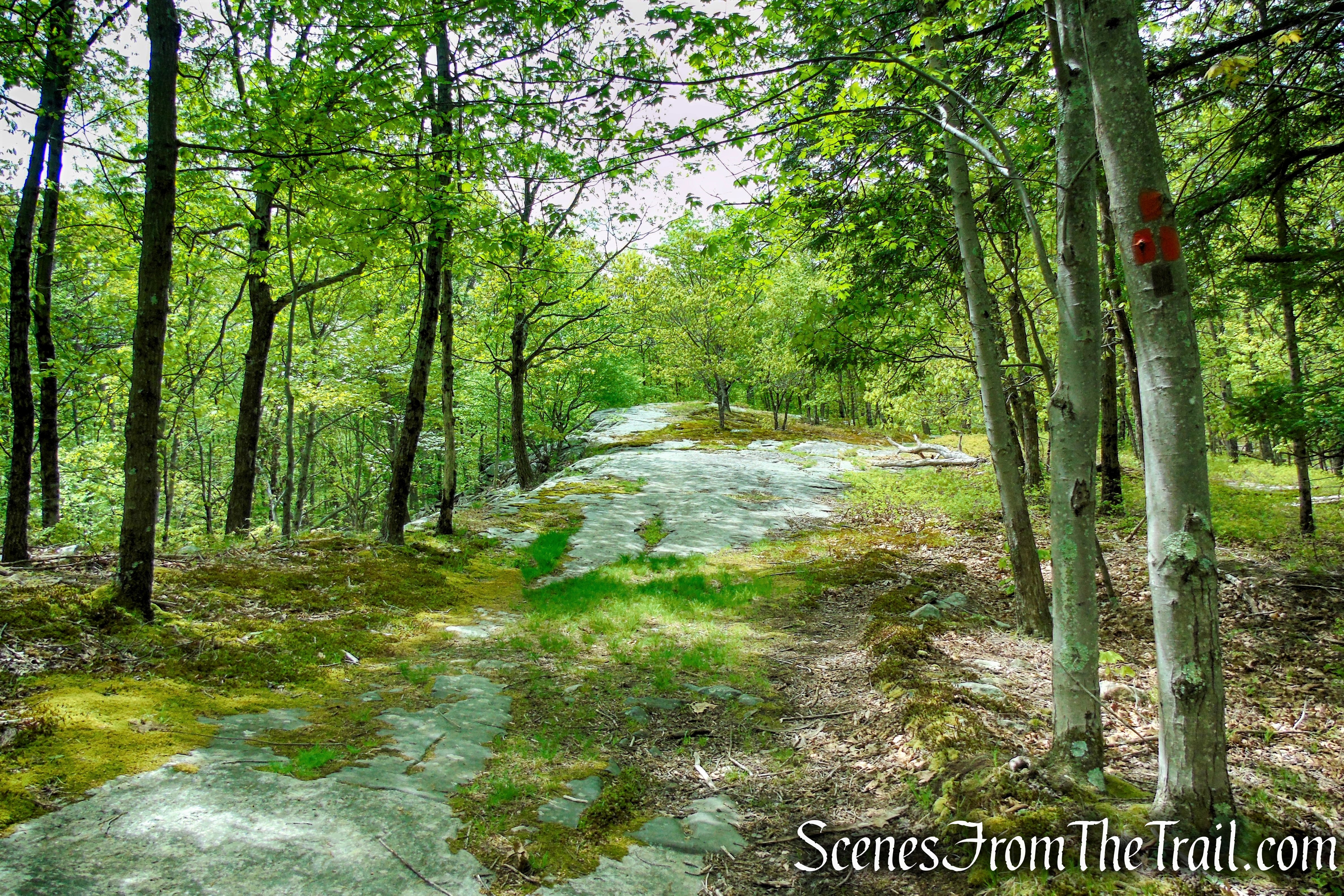 Orange Trail - Dater Mountain Nature Park