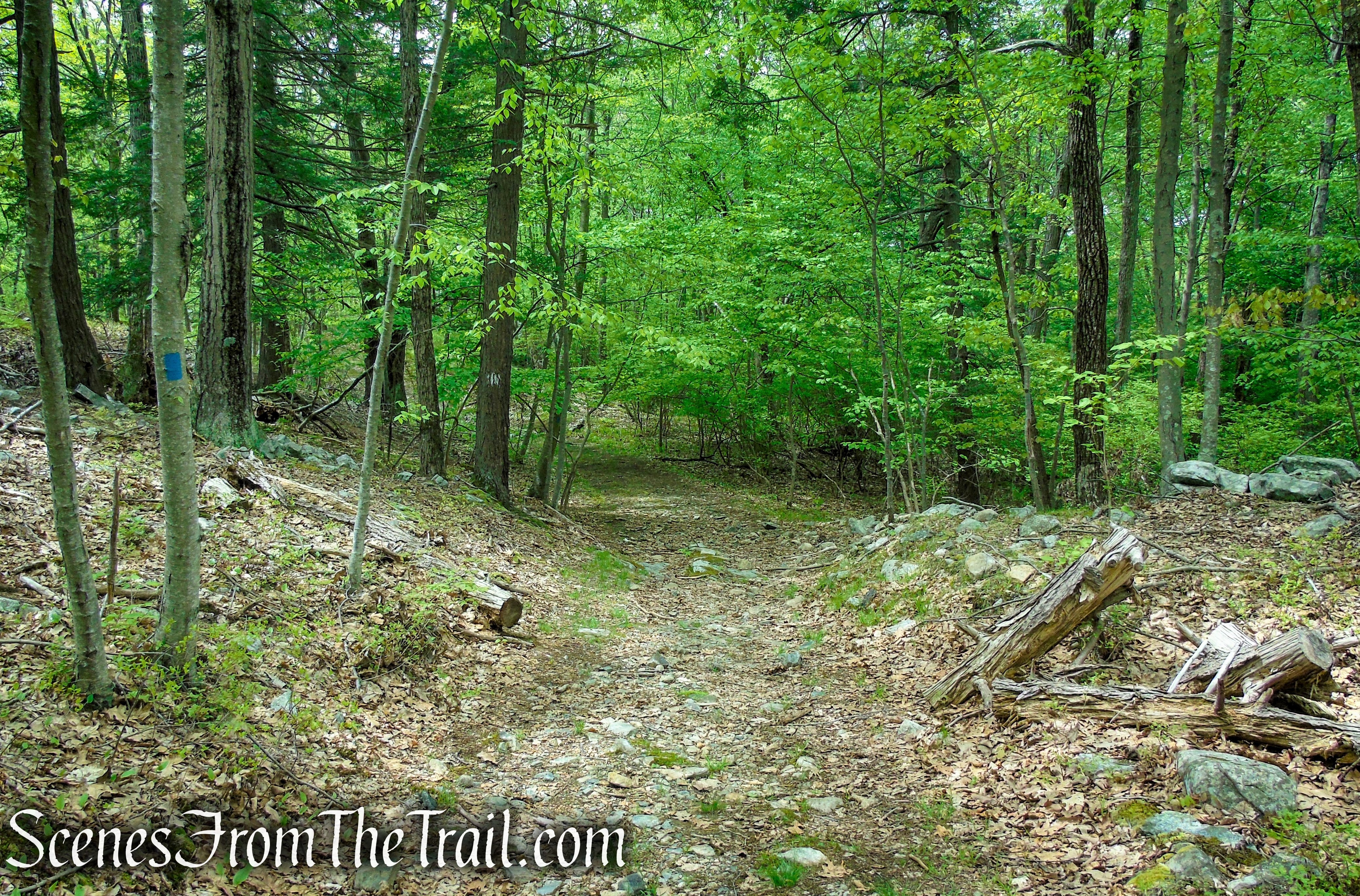 Blue Trail - Dater Mountain Nature Park