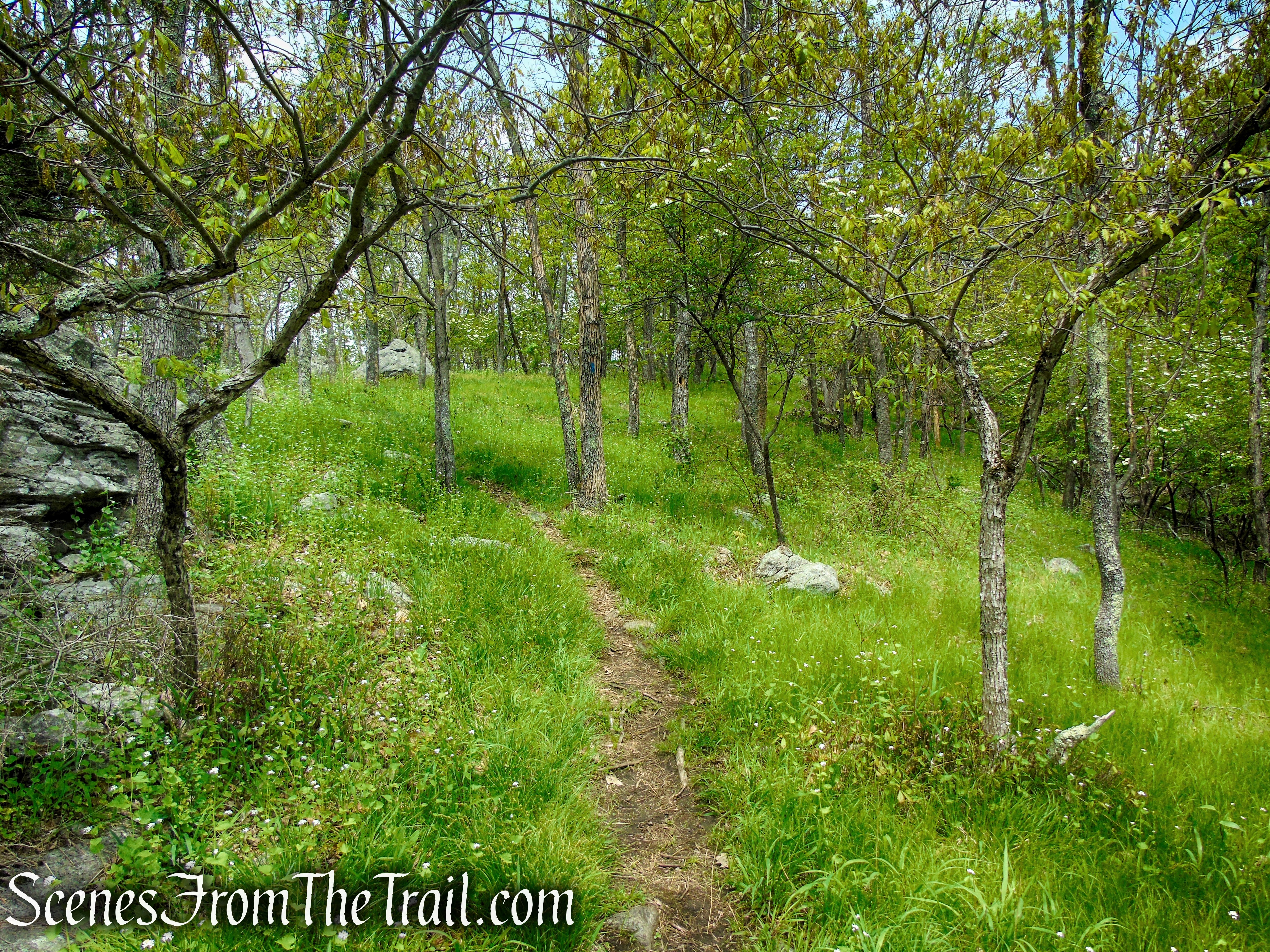Blue Trail - Dater Mountain Nature Park