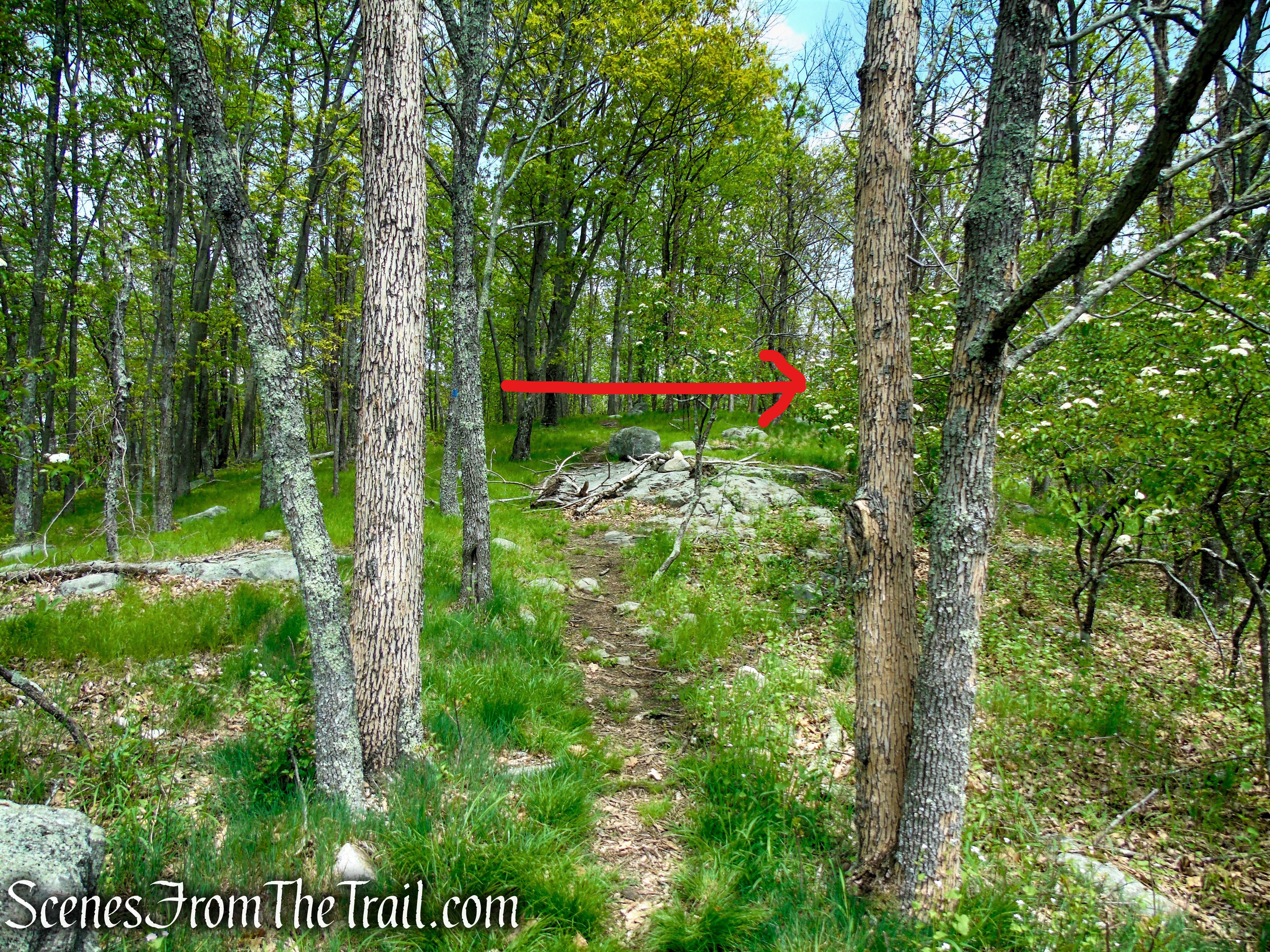 turn sharp right to remain on Blue Trail