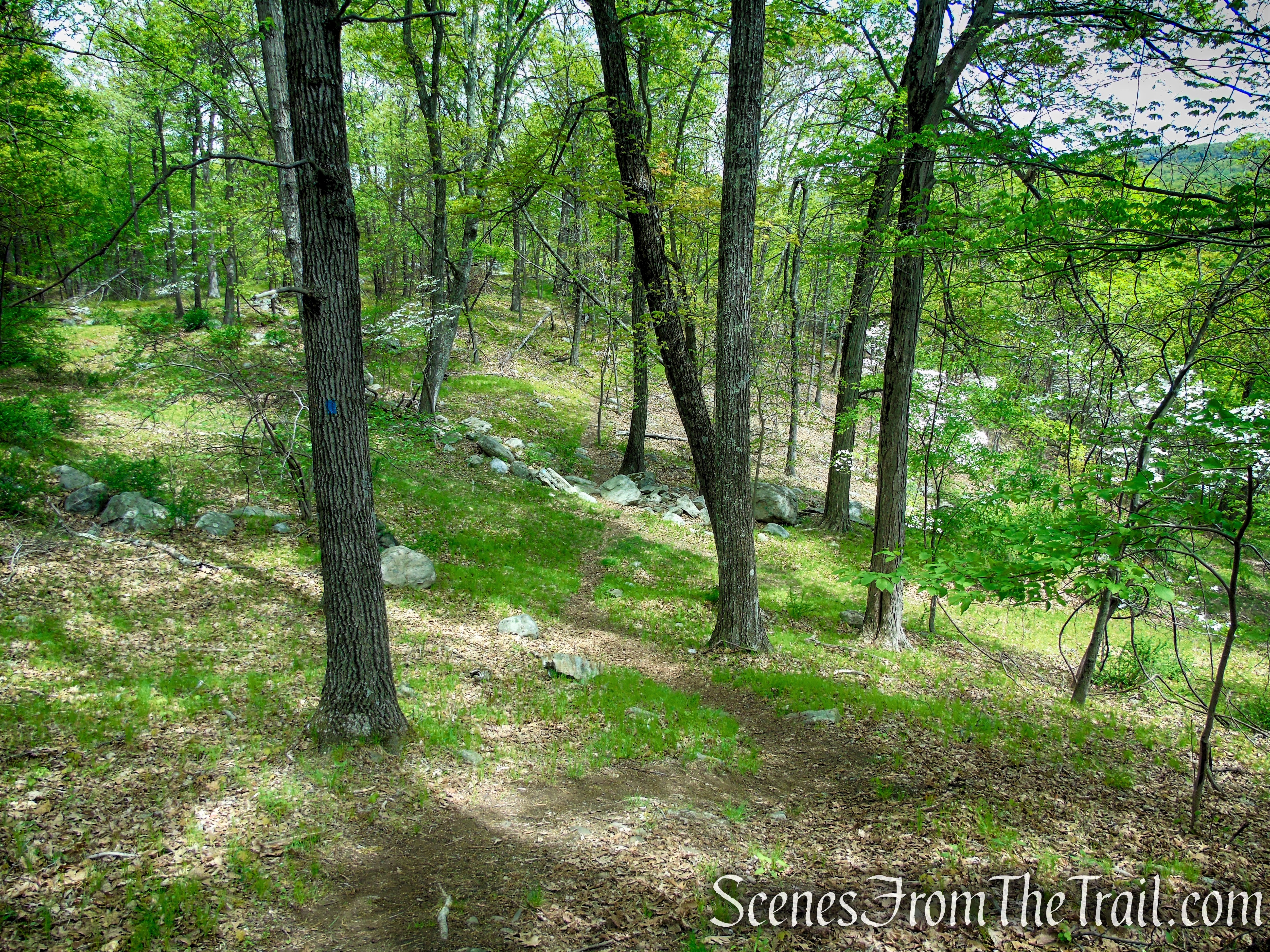 Blue Trail - Dater Mountain Nature Park