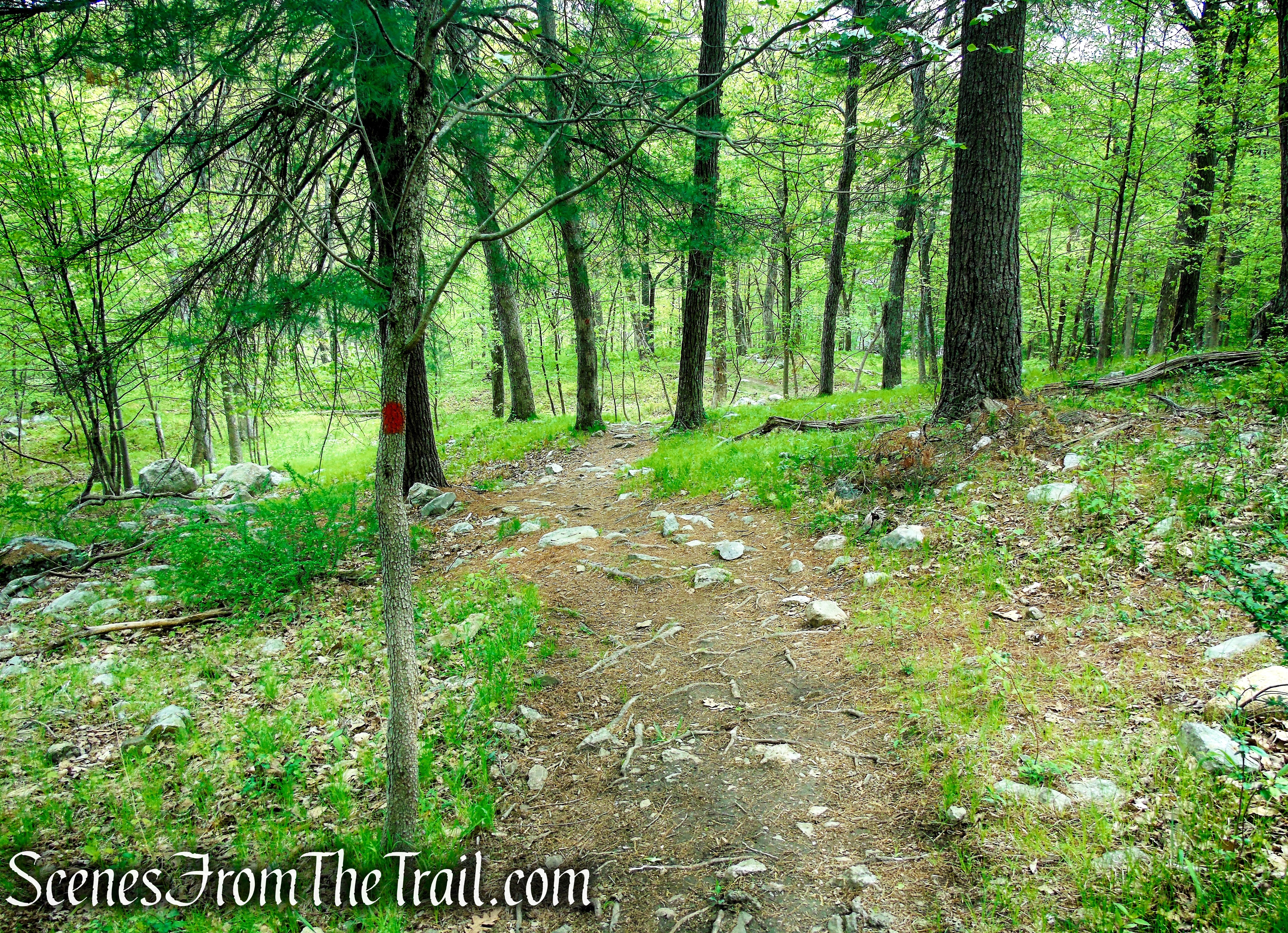Orange Trail - Dater Mountain Nature Park