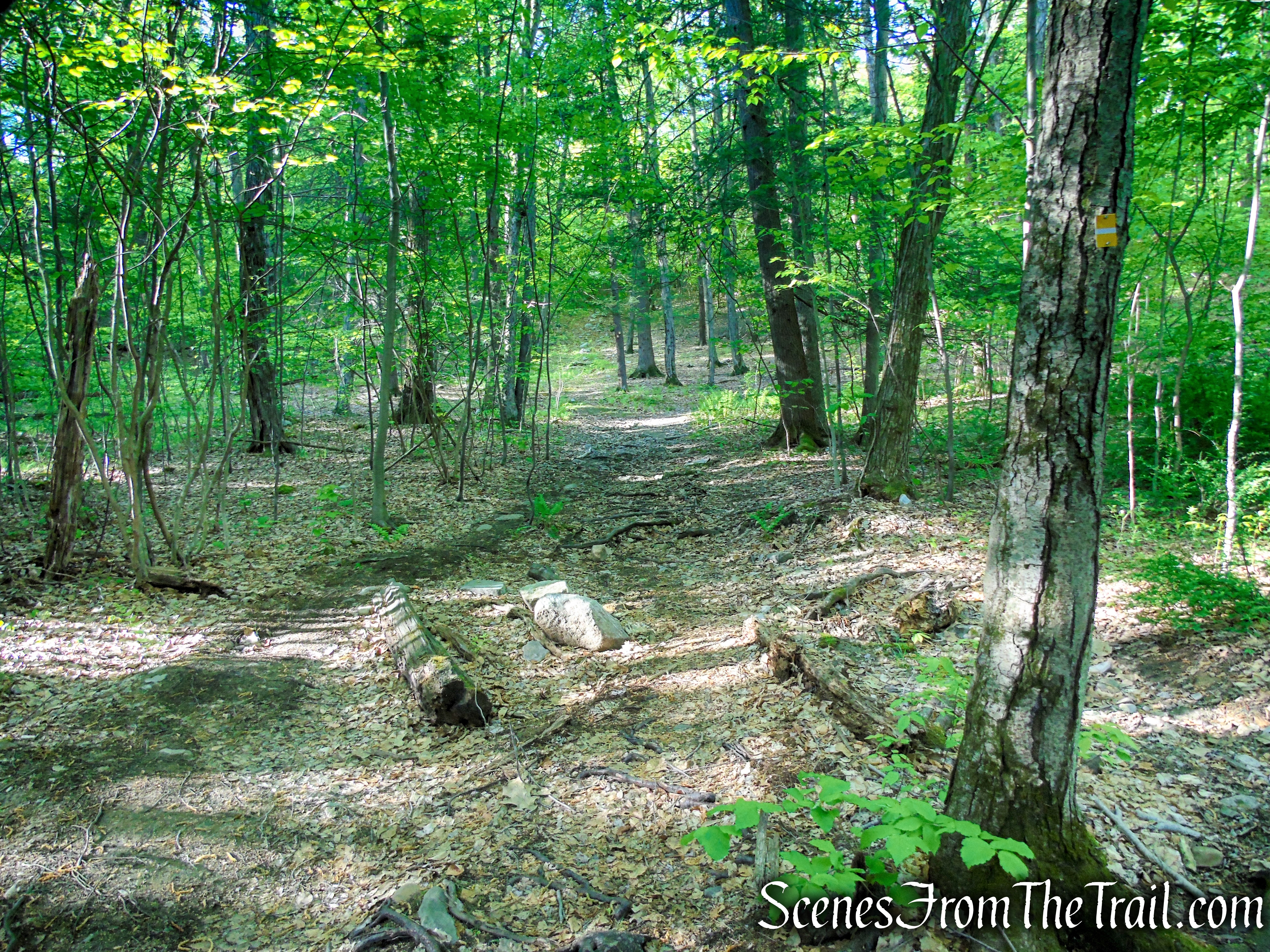 Indian Hill Loop Trail - Sterling Forest State Park