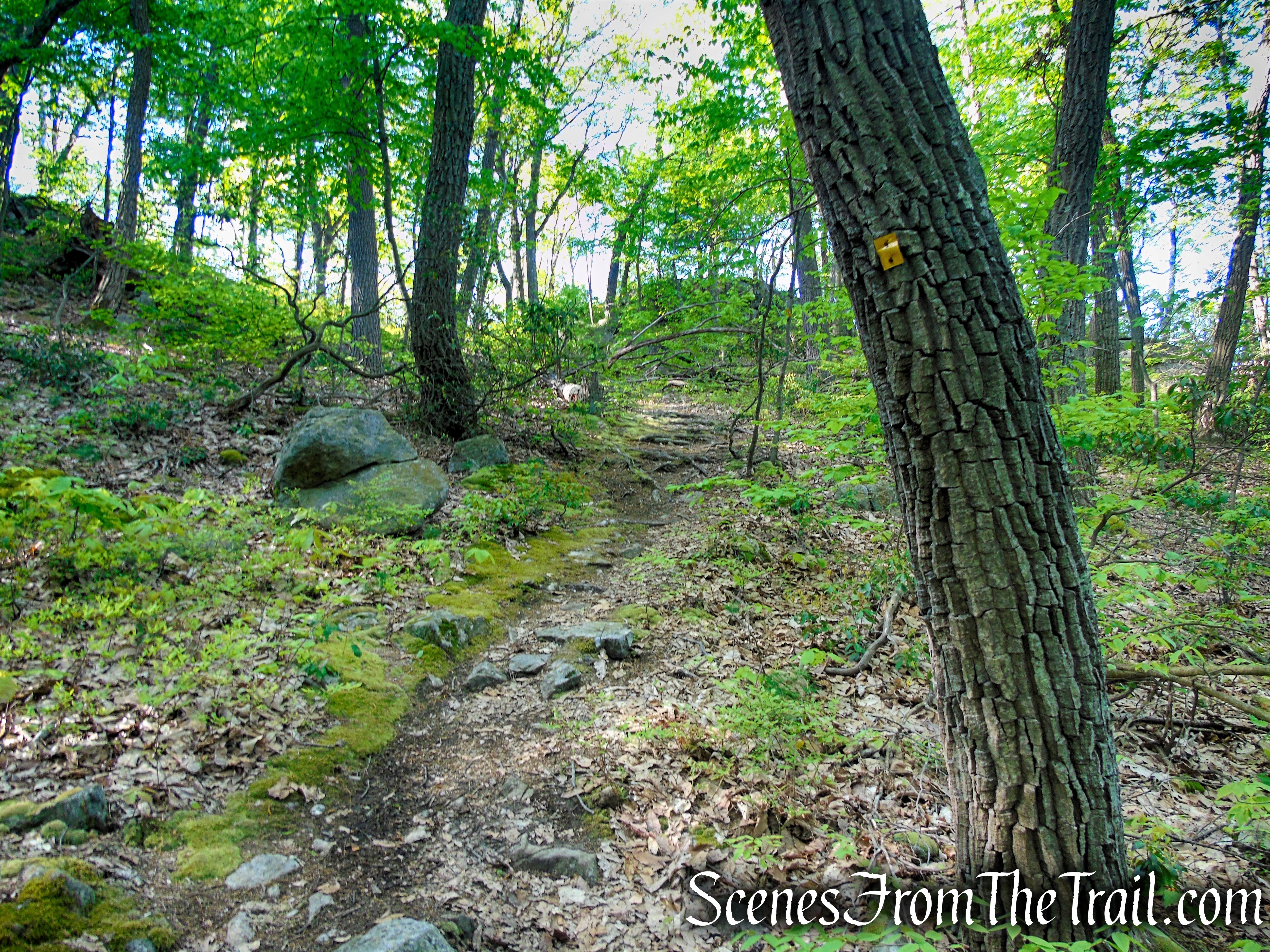 Indian Hill Loop Trail - Sterling Forest State Park