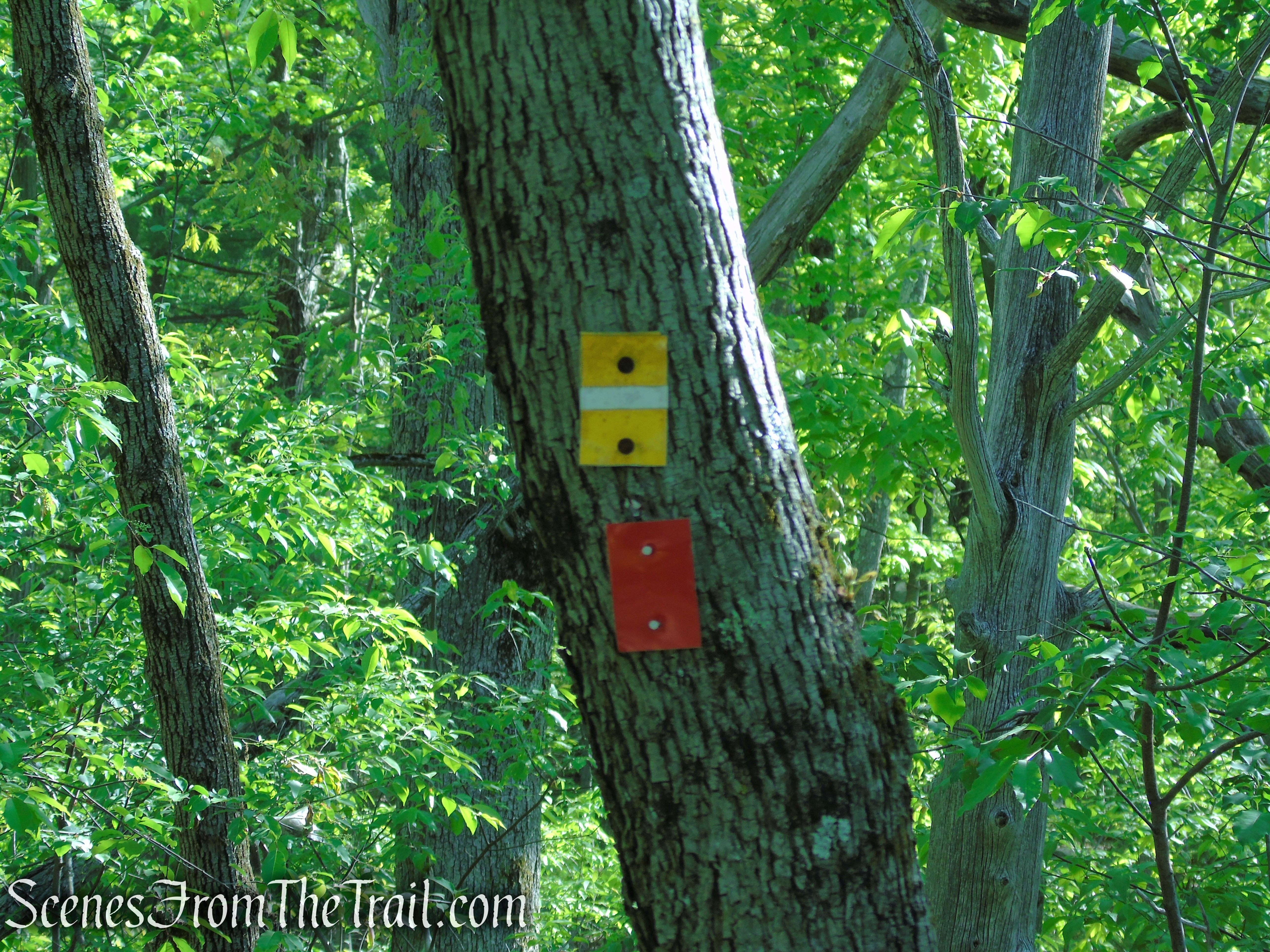 Indian Hill Loop Trail - Sterling Forest State Park