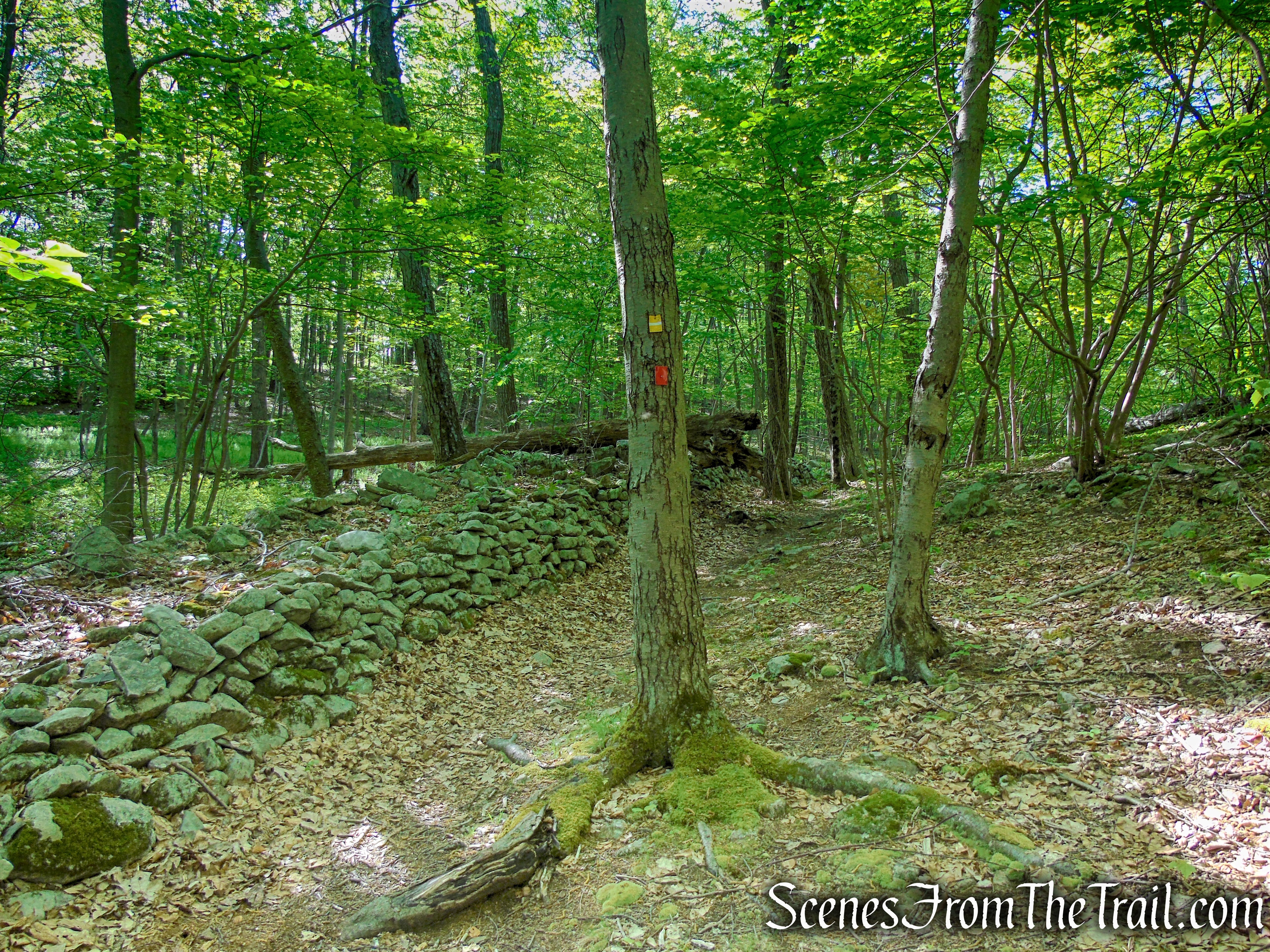 Indian Hill Loop Trail - Sterling Forest State Park