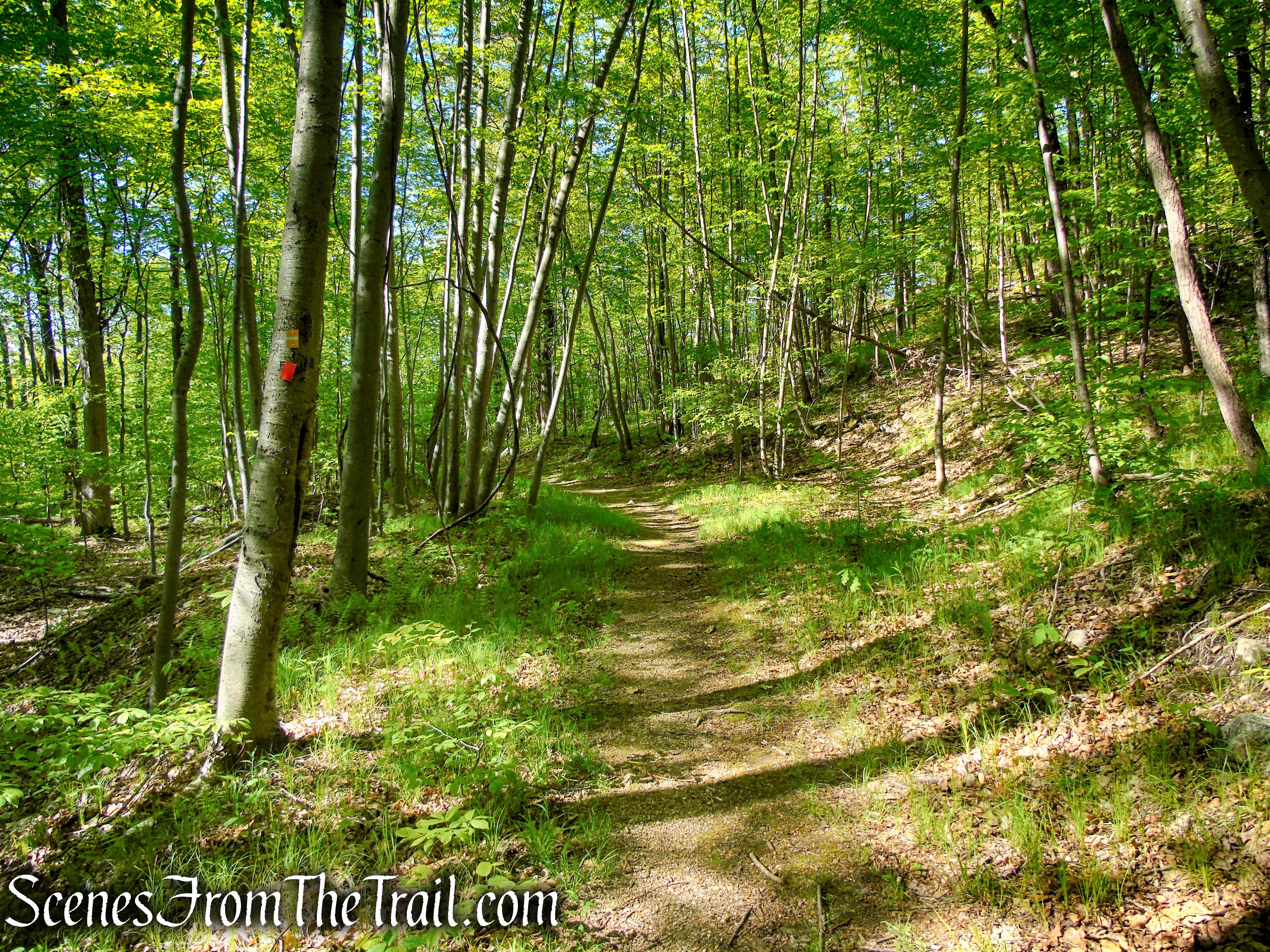 Indian Hill Loop Trail - Sterling Forest State Park