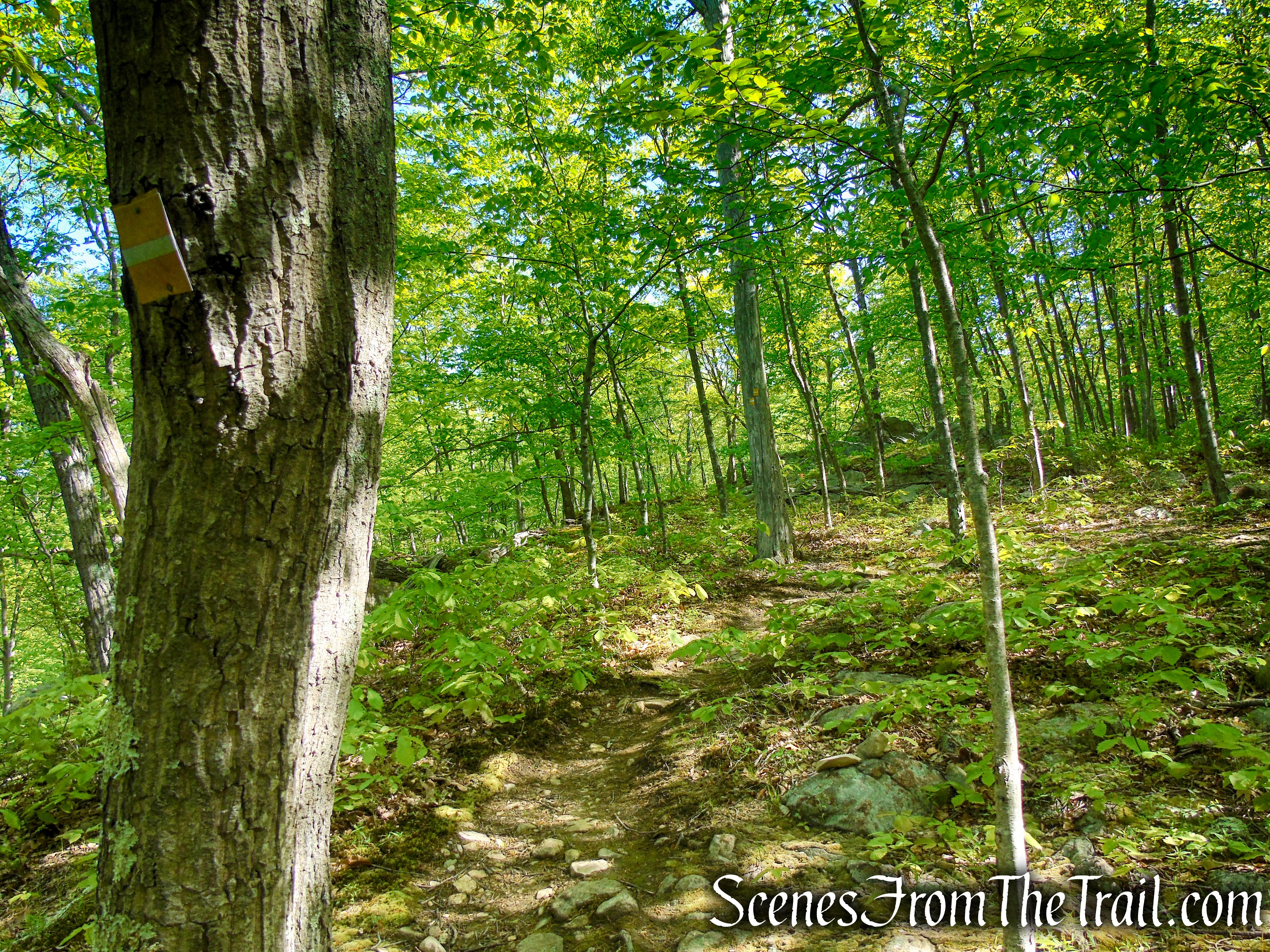 Indian Hill Loop Trail - Sterling Forest State Park