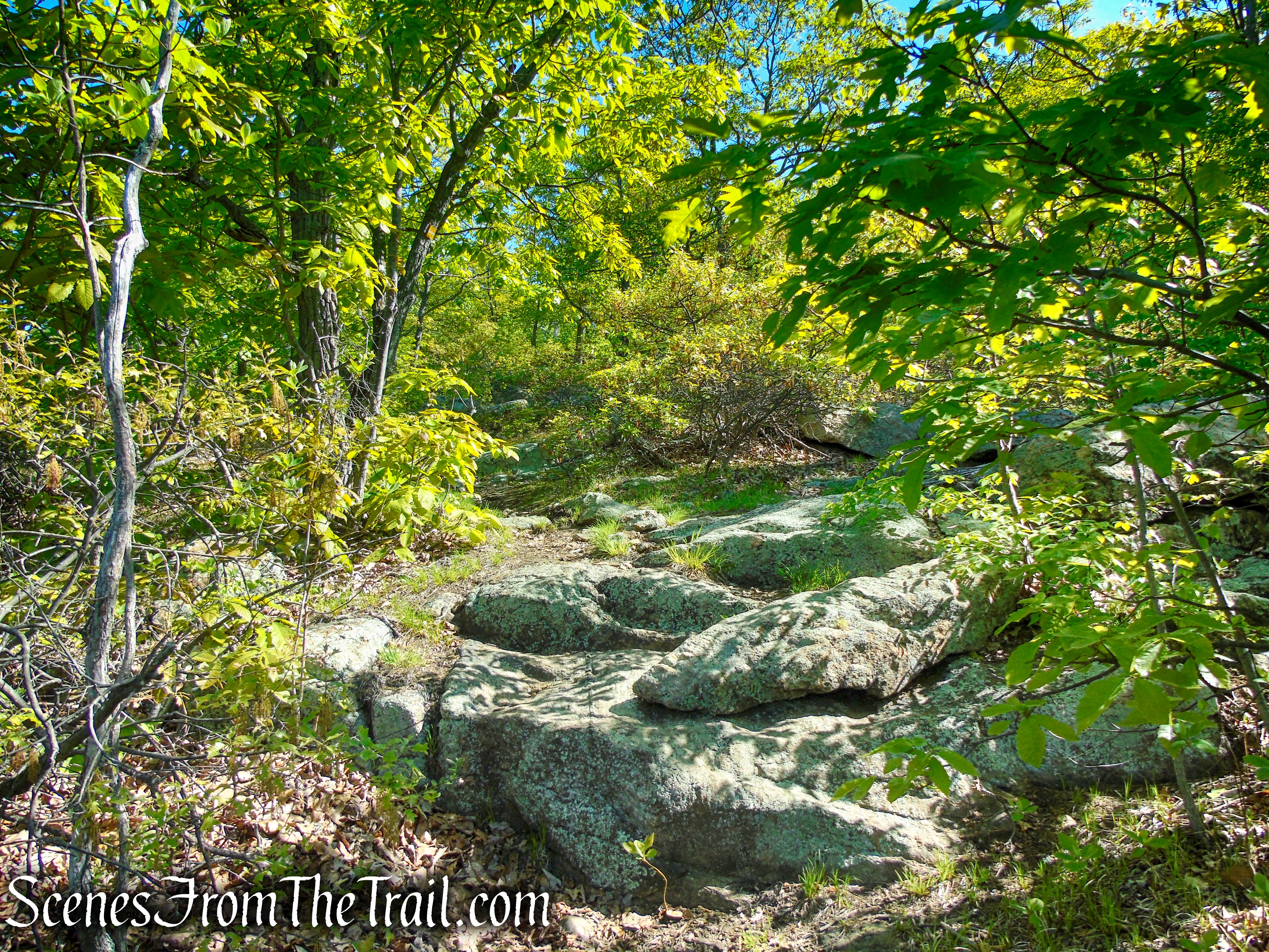 Indian Hill Loop Trail - Sterling Forest State Park