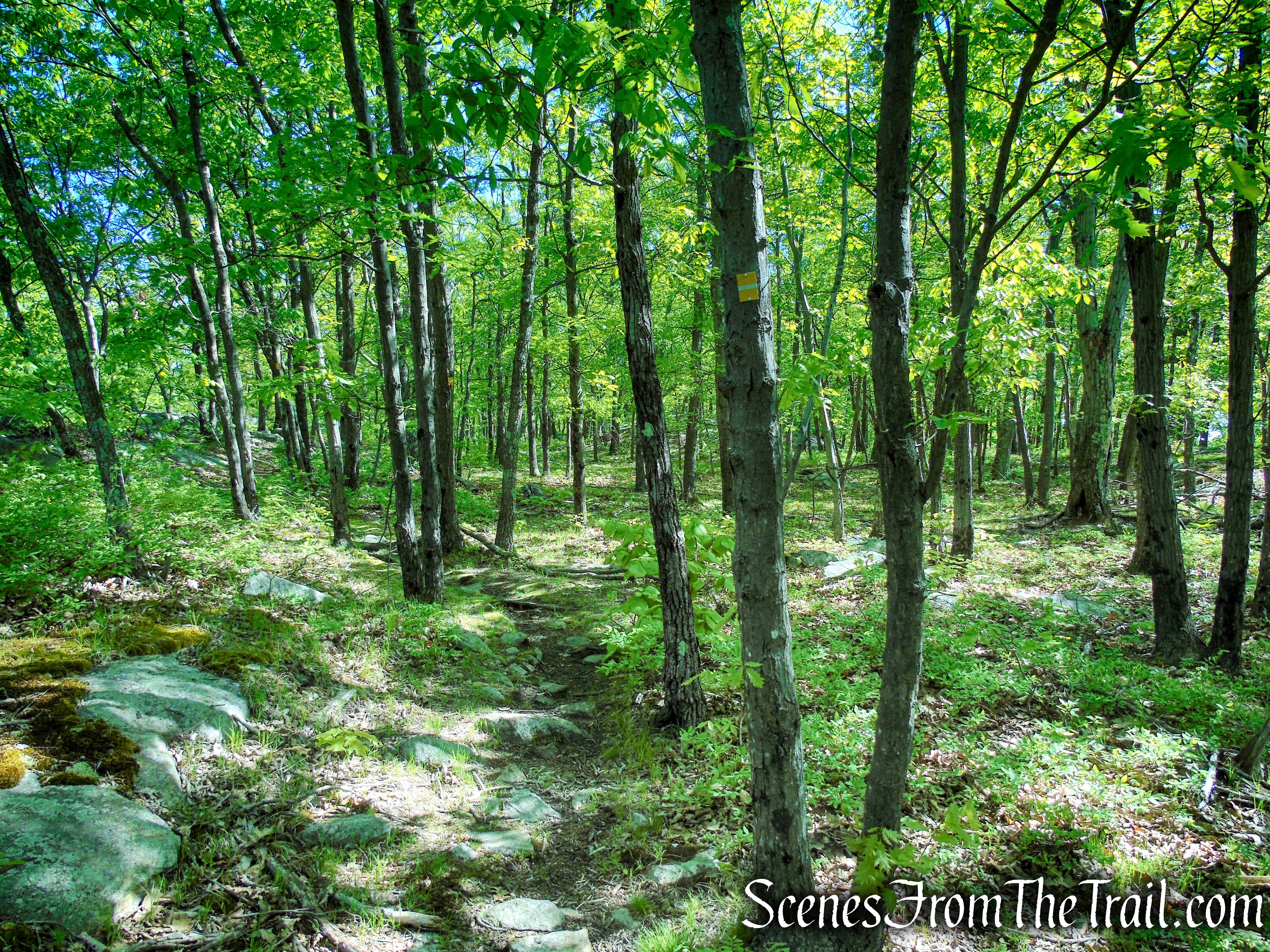Indian Hill Loop Trail - Sterling Forest State Park
