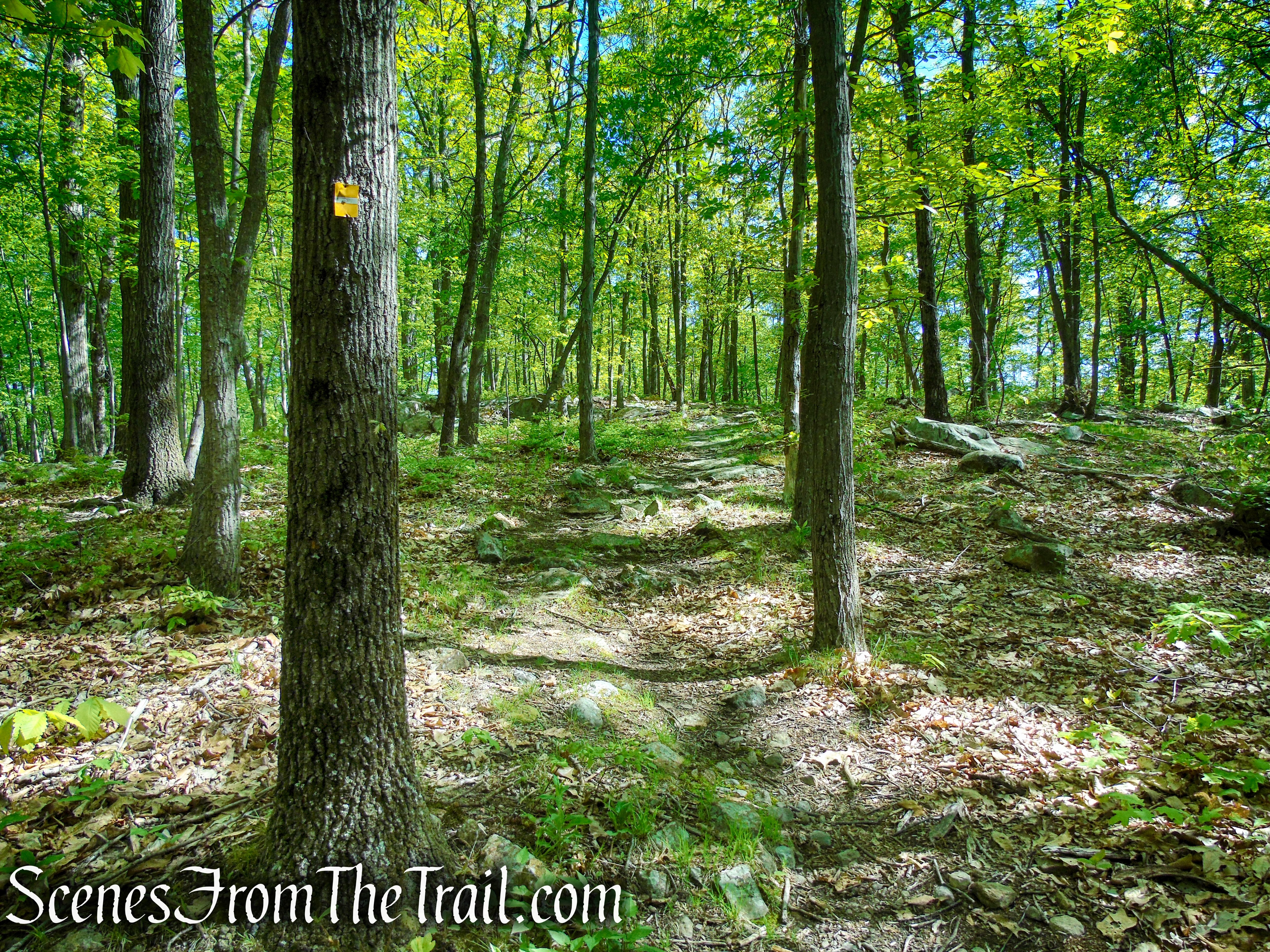 Indian Hill Loop Trail - Sterling Forest State Park