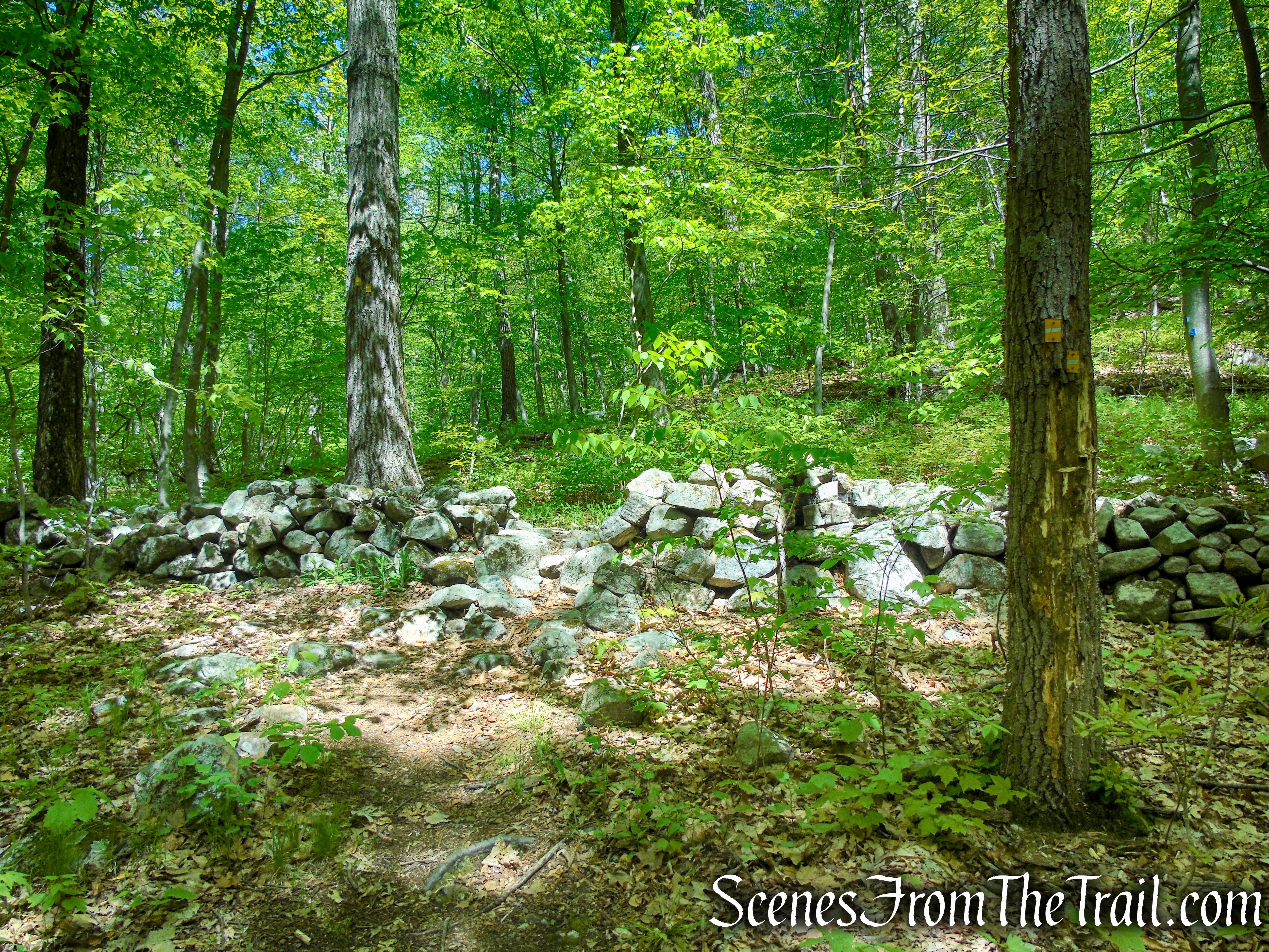 Indian Hill Loop Trail - Sterling Forest State Park