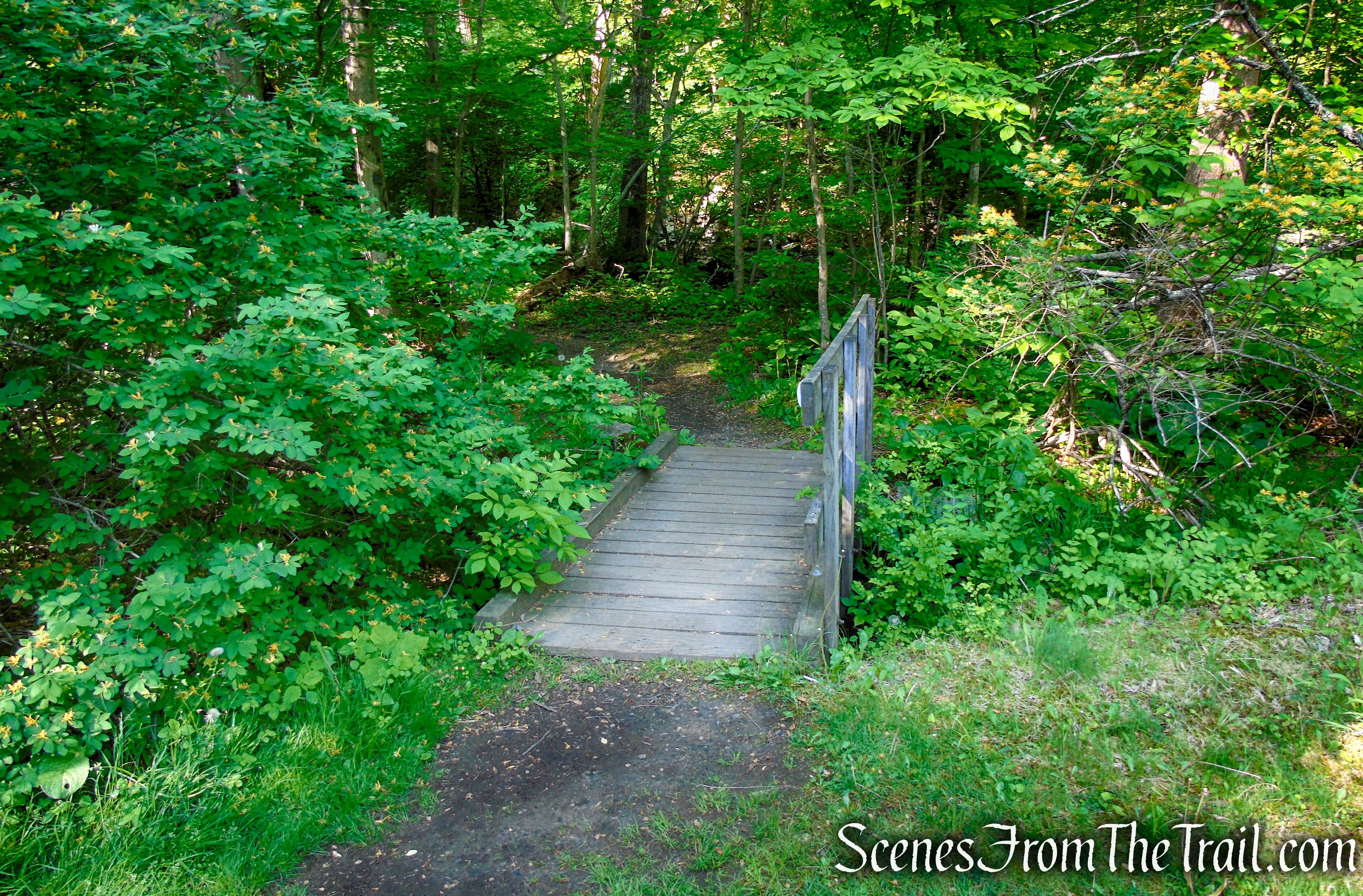 Patriots’ Path - Black River County Park