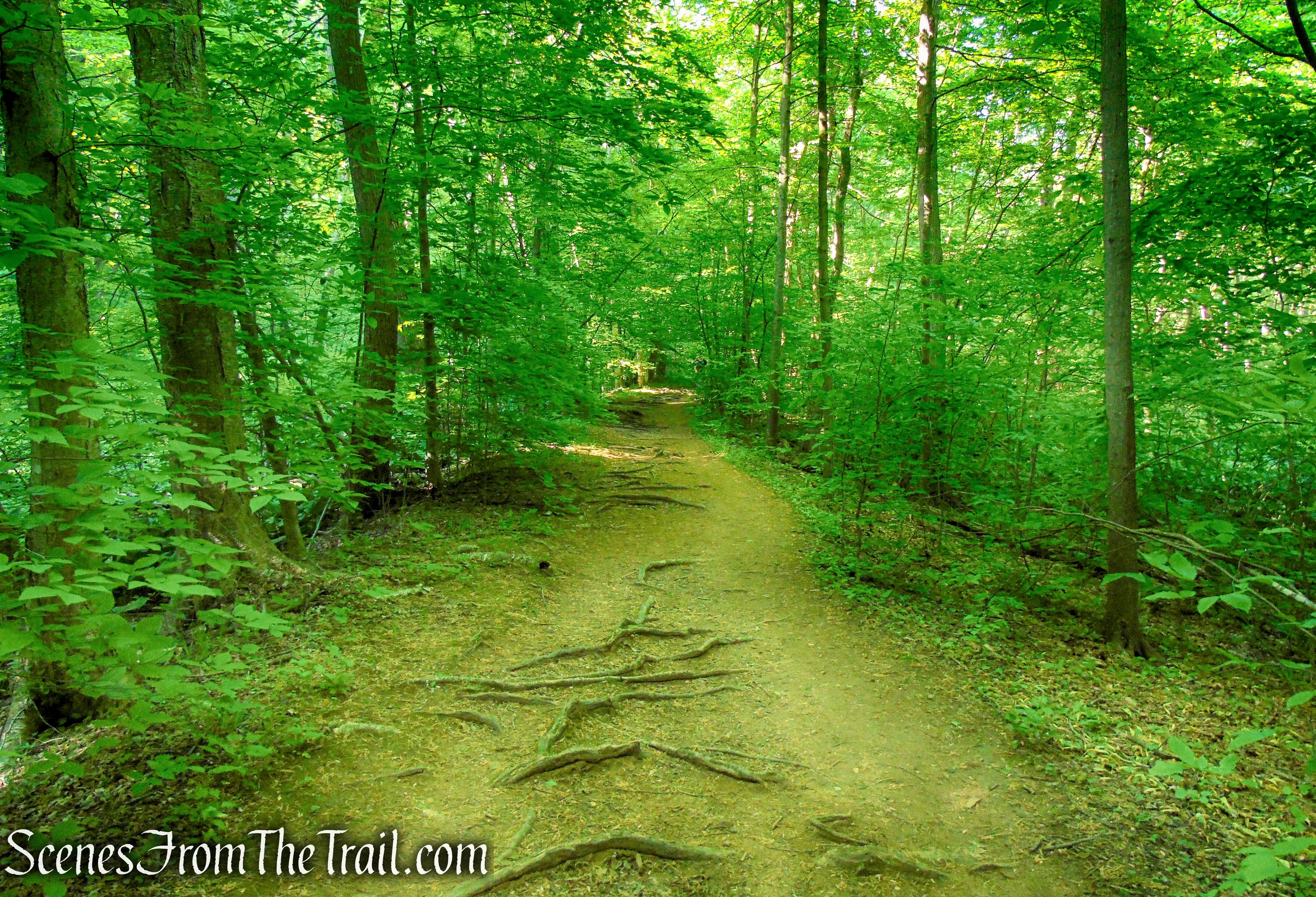 Patriots’ Path - Black River County Park