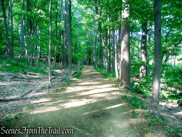 Patriots’ Path - Black River County Park