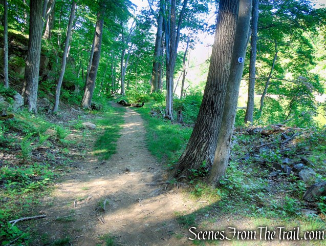 Patriots’ Path - Black River County Park
