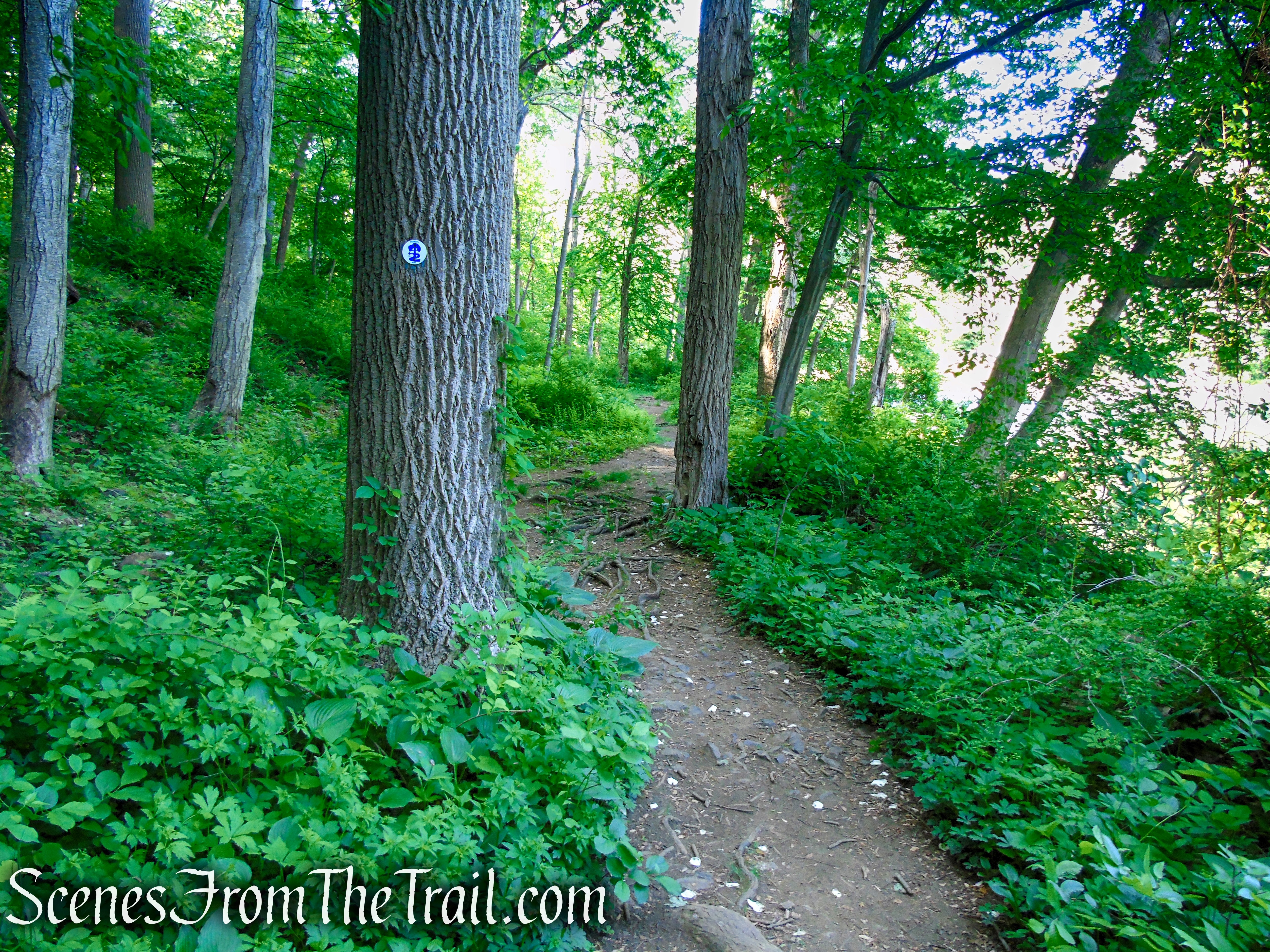 Patriots’ Path - Black River County Park