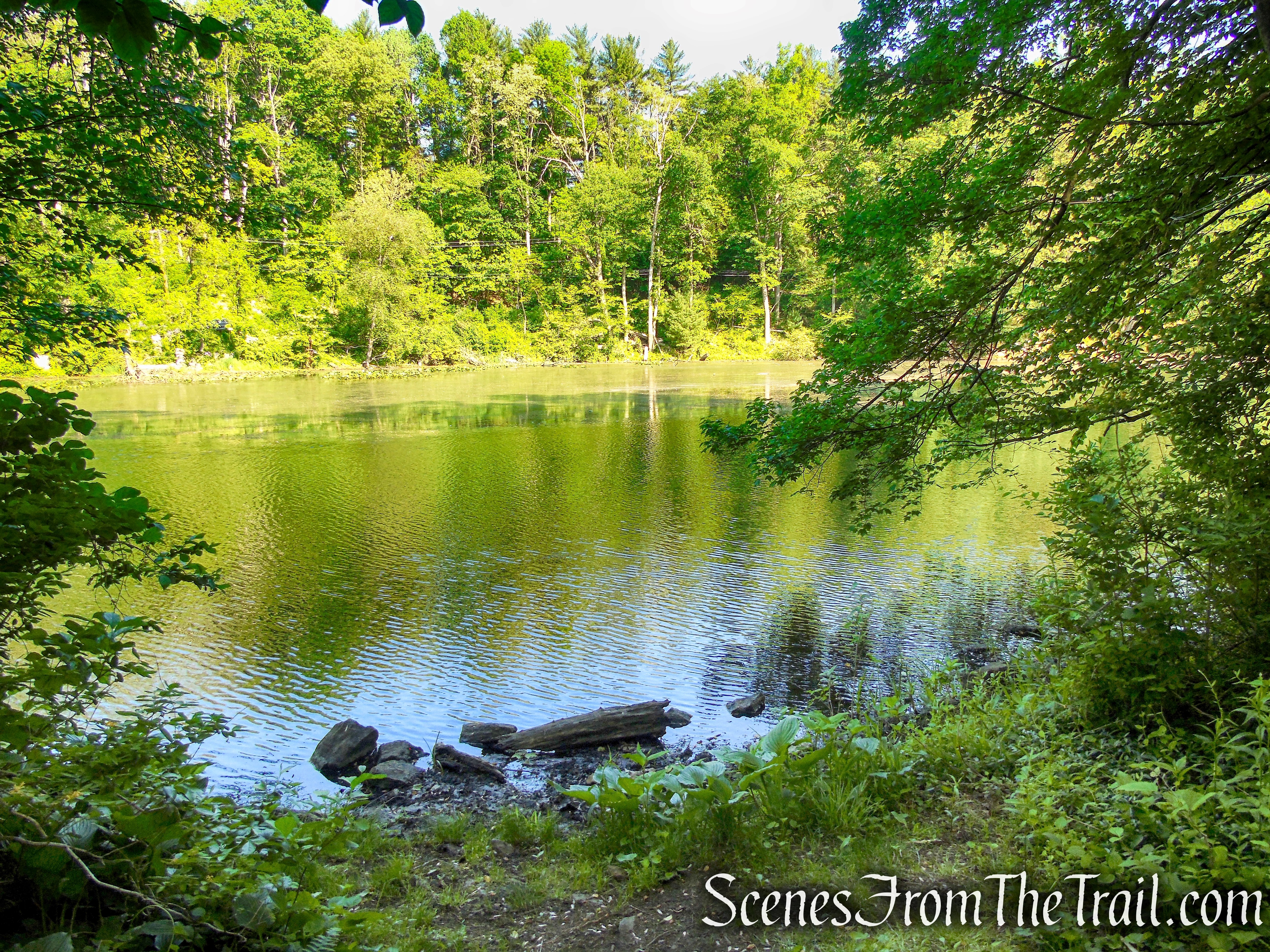 Patriots’ Path - Black River County Park