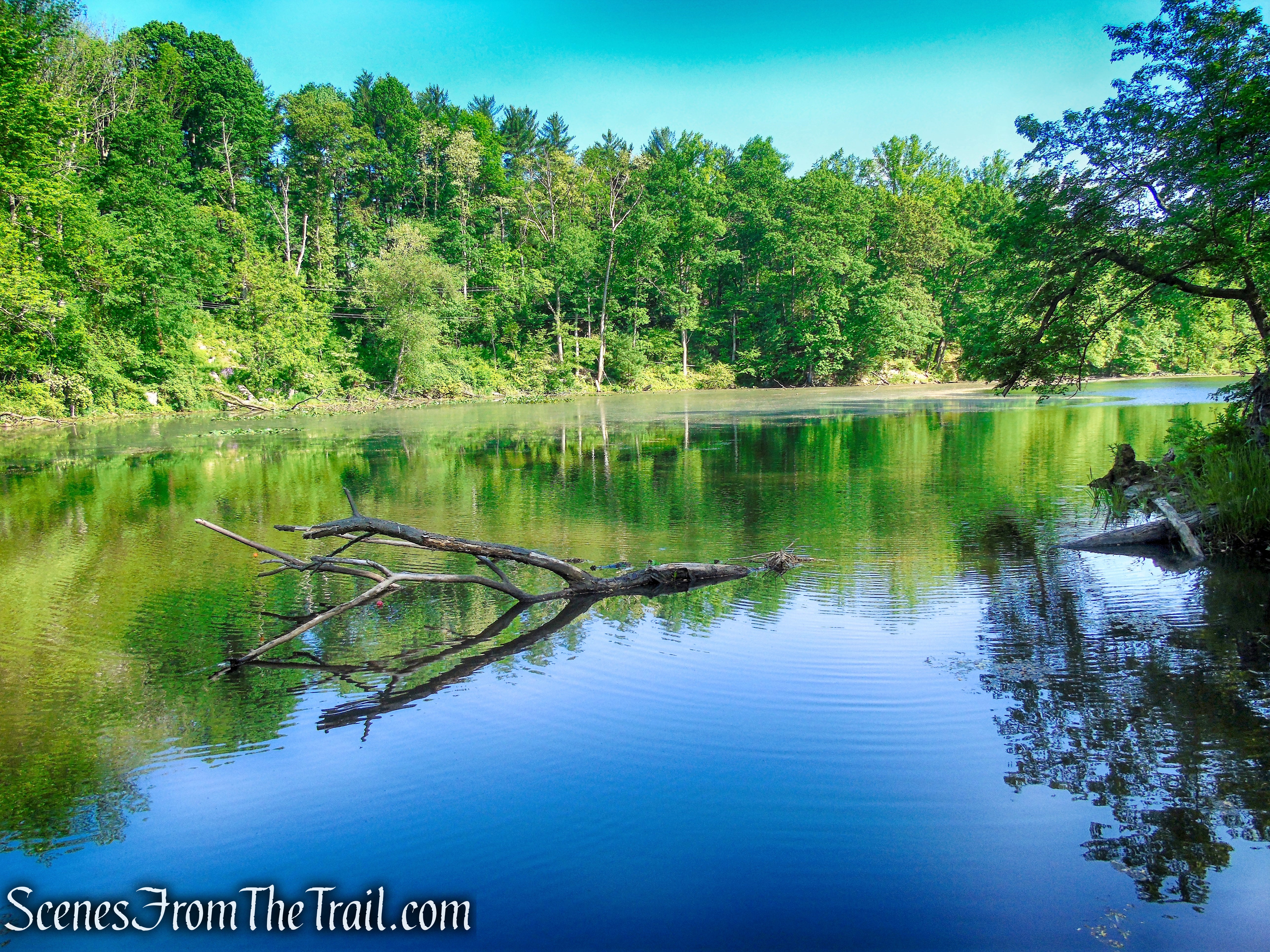 Patriots’ Path - Black River County Park