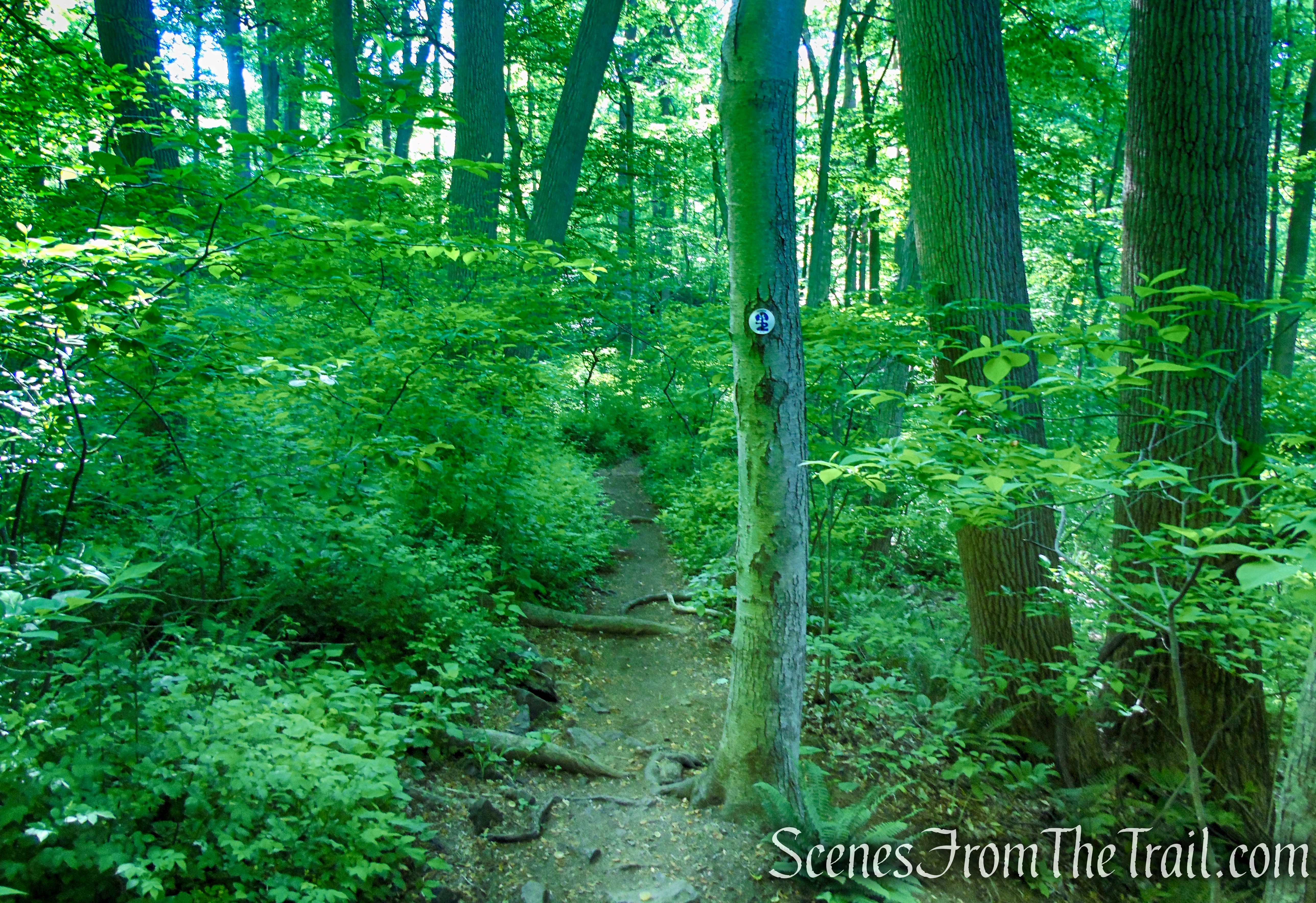 Patriots’ Path - Black River County Park