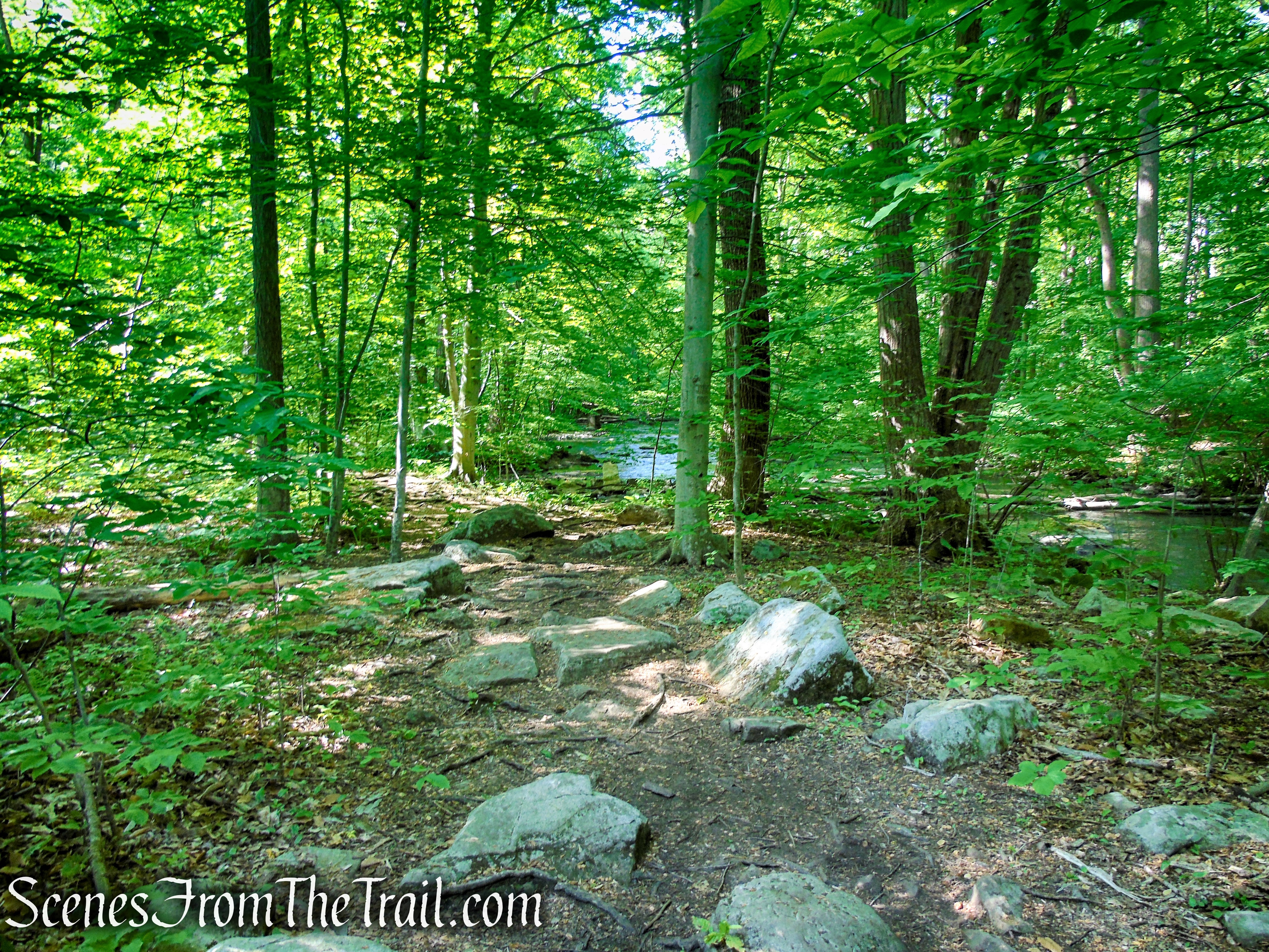 Patriots’ Path - Black River County Park