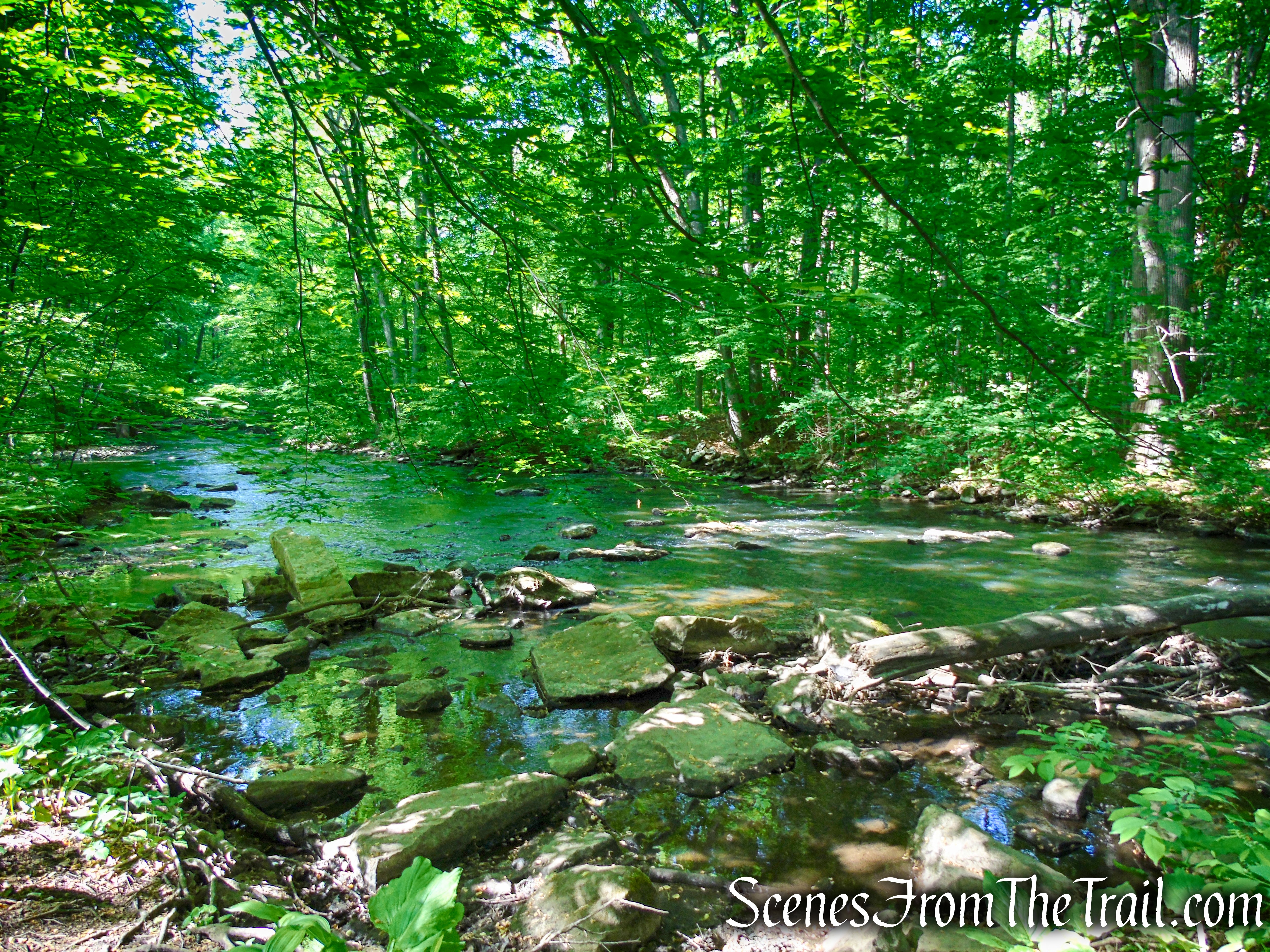 Patriots’ Path - Black River County Park