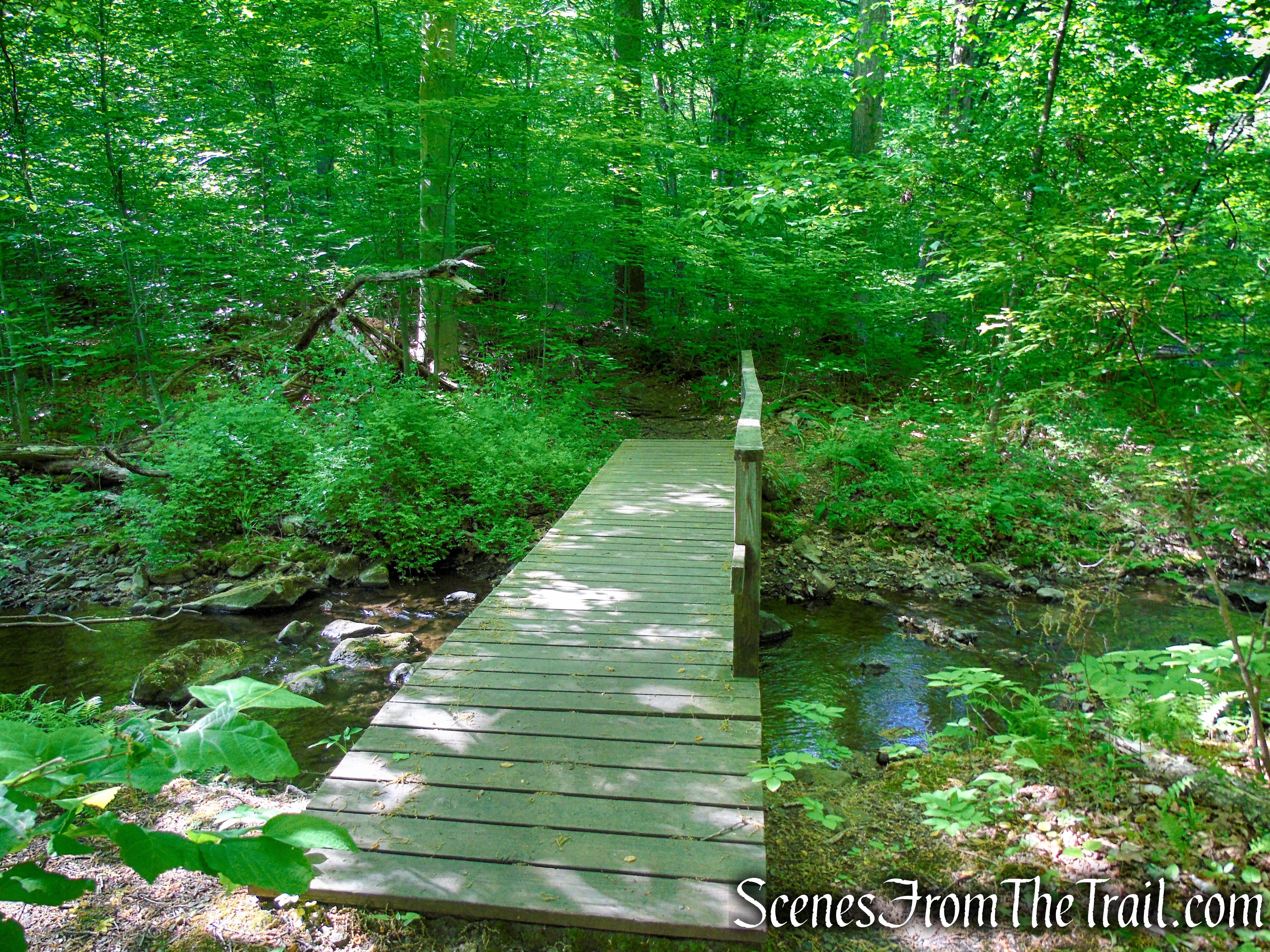 Patriots’ Path - Black River County Park