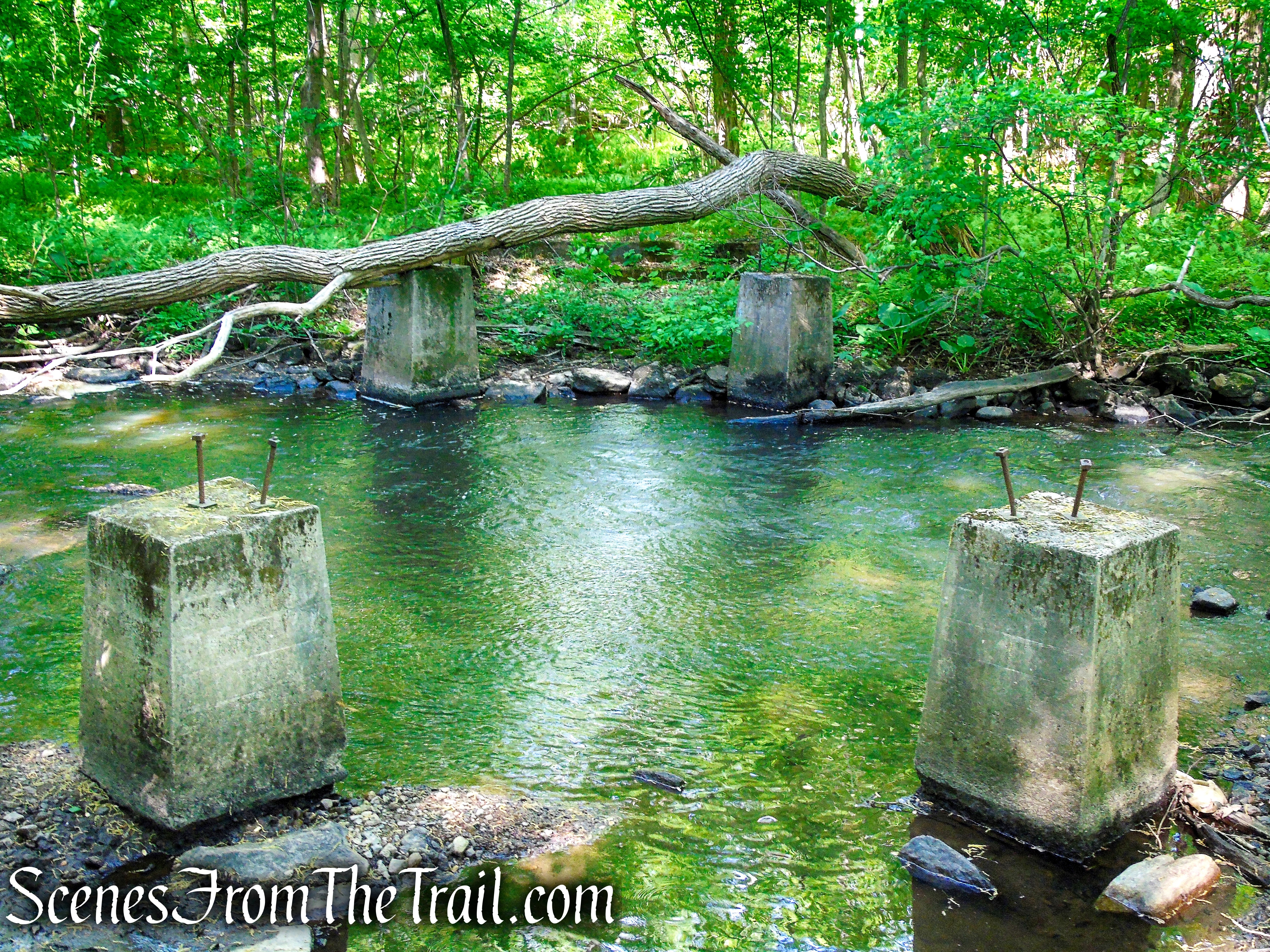 Patriots’ Path - Black River County Park