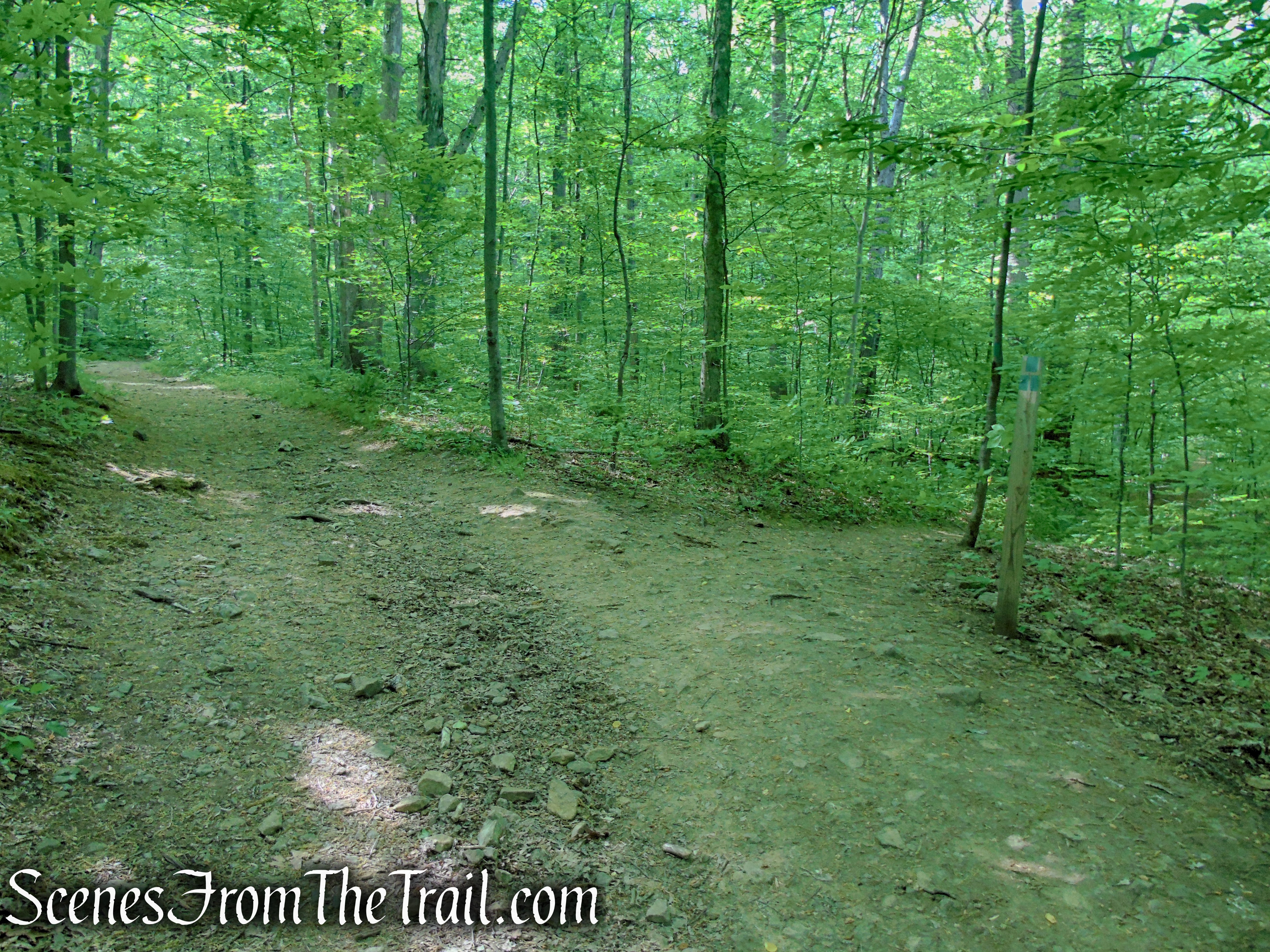Green Trail begins on the right