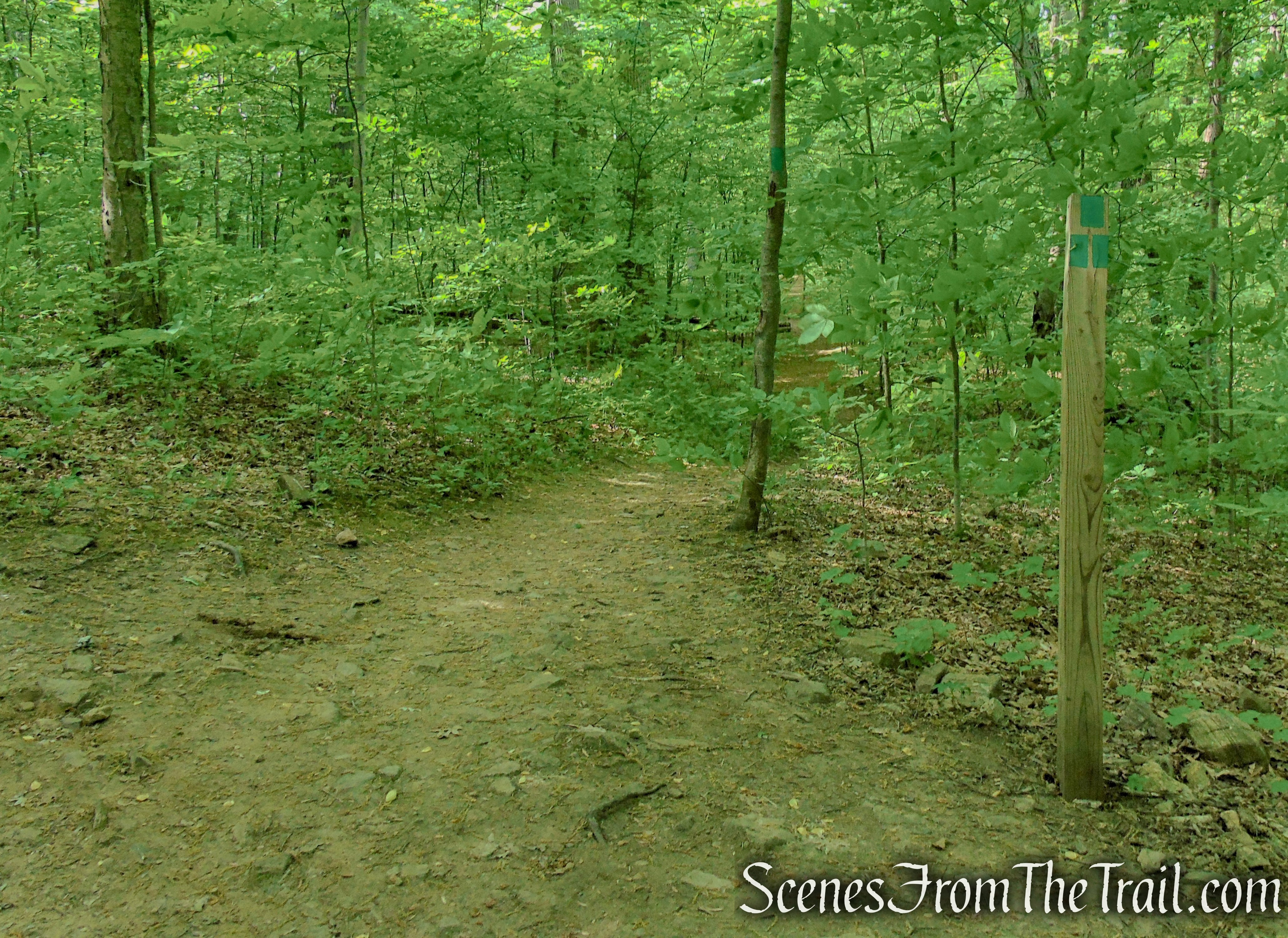 Green Trail - Black River County Park