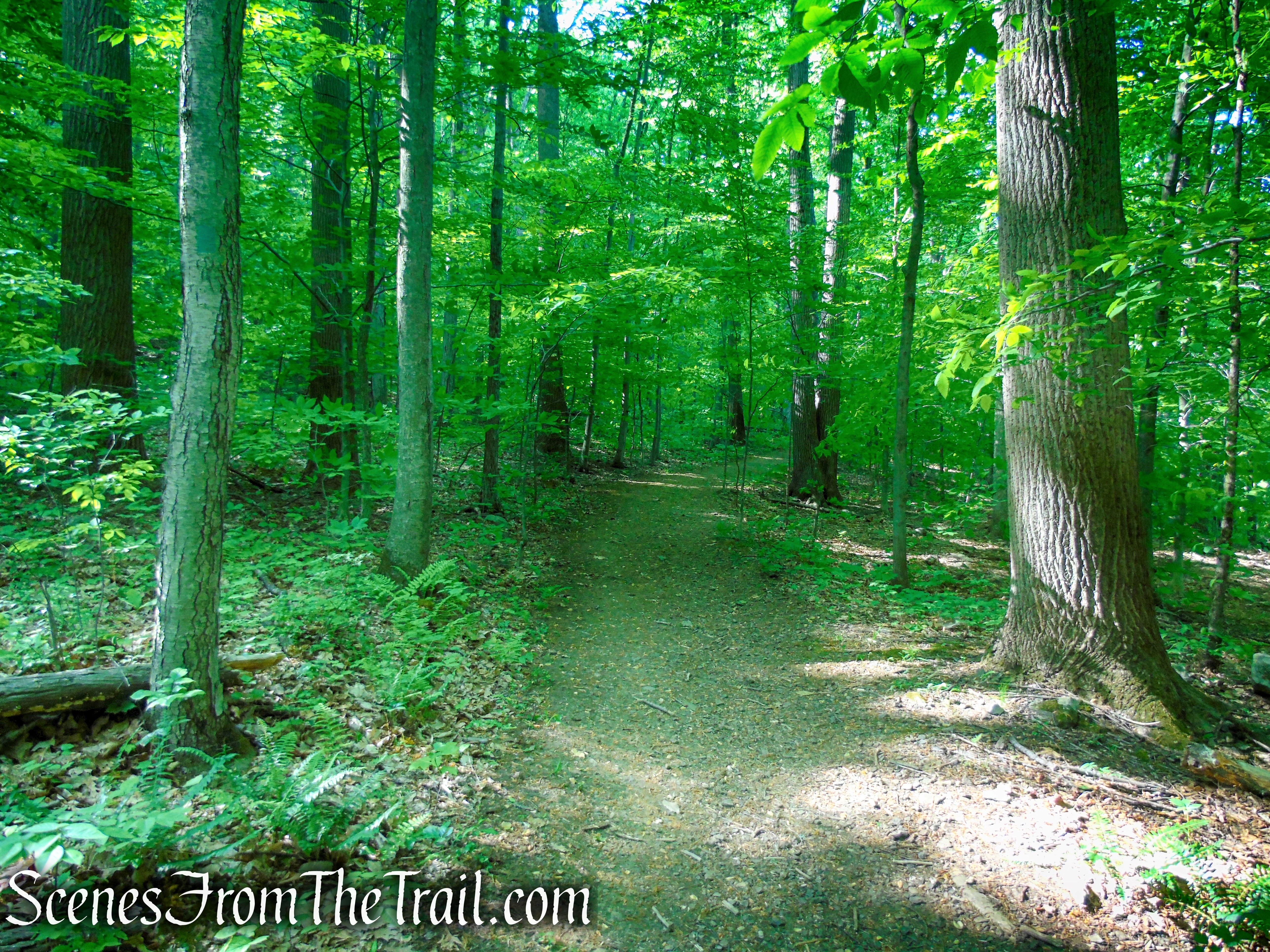 Green Trail - Black River County Park