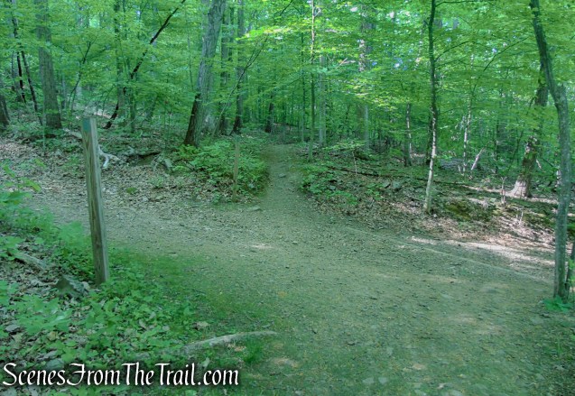 turn right on Orange Trail