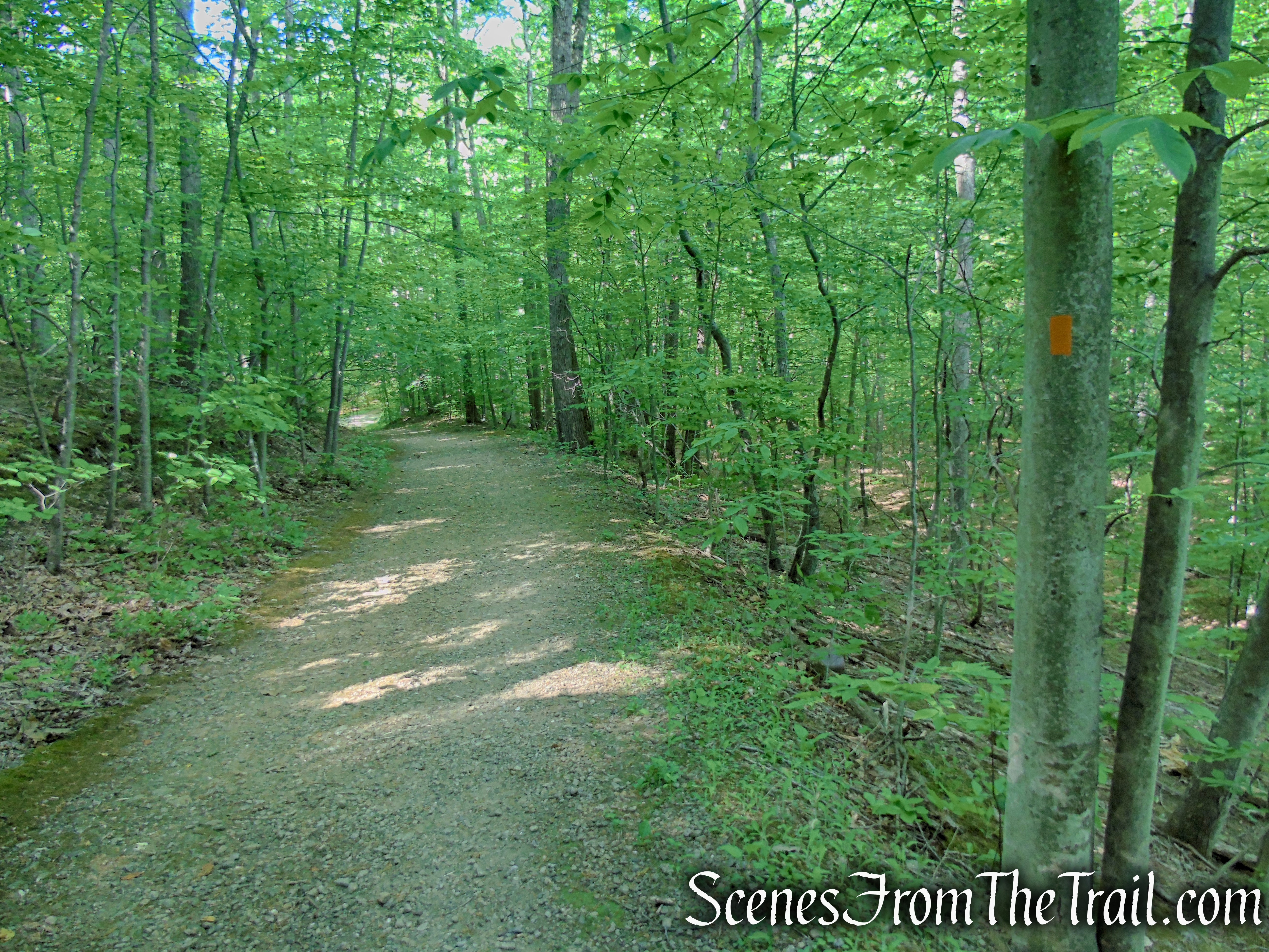 Orange Trail - Black River County Park