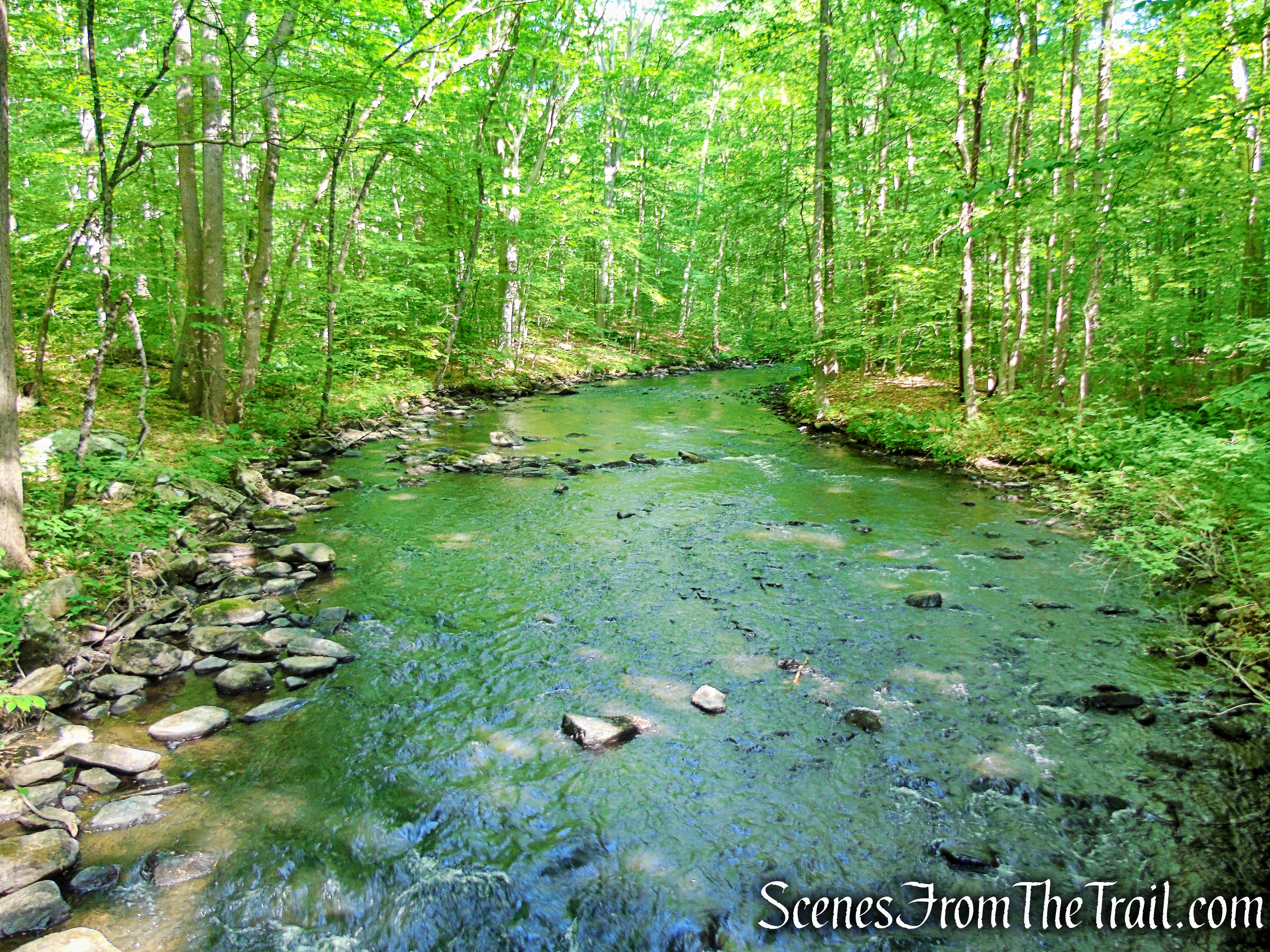 Orange Trail - Black River County Park