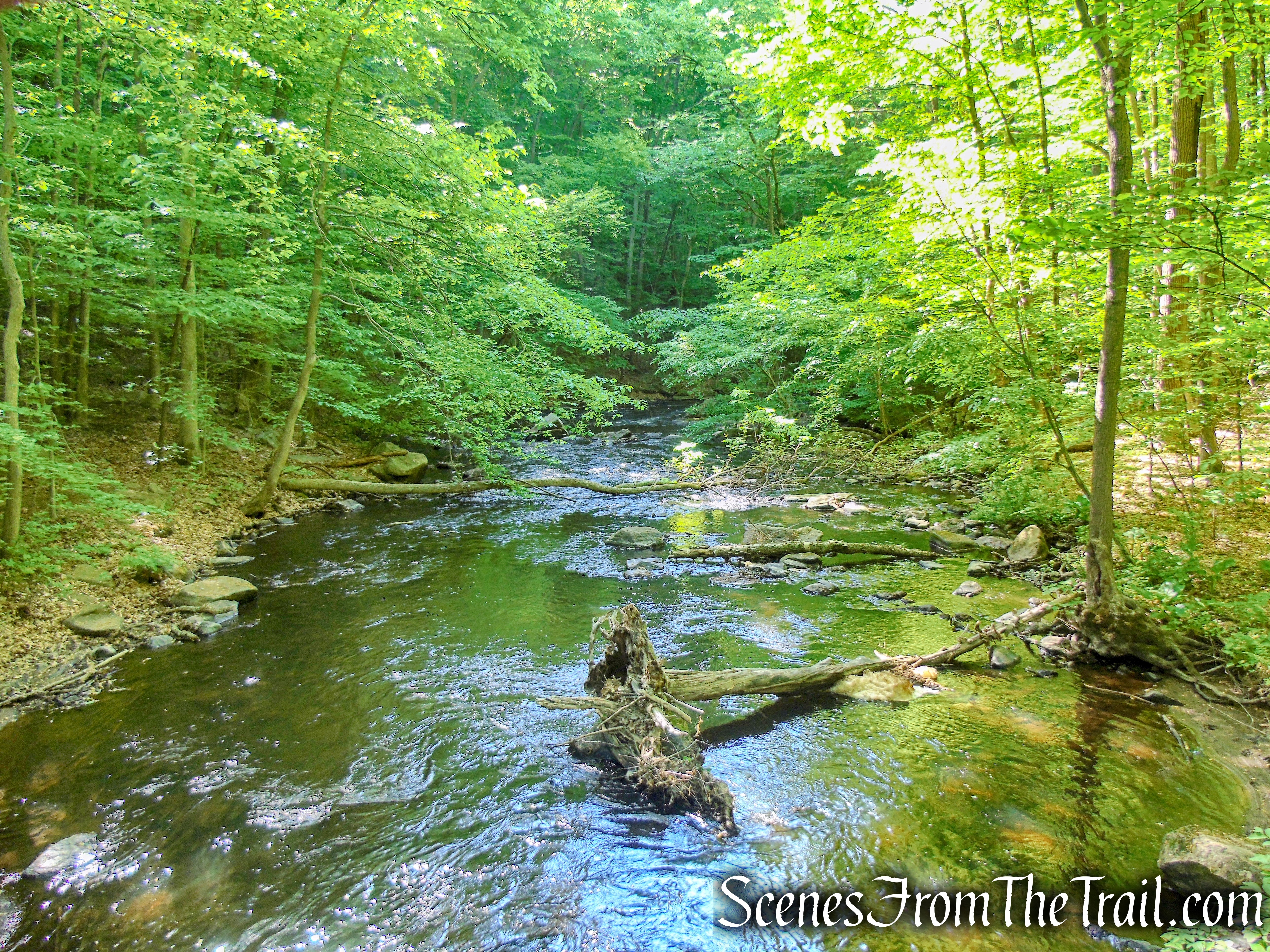 Orange Trail - Black River County Park