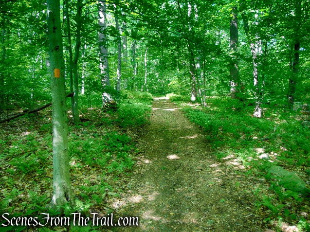 Orange Trail - Black River County Park